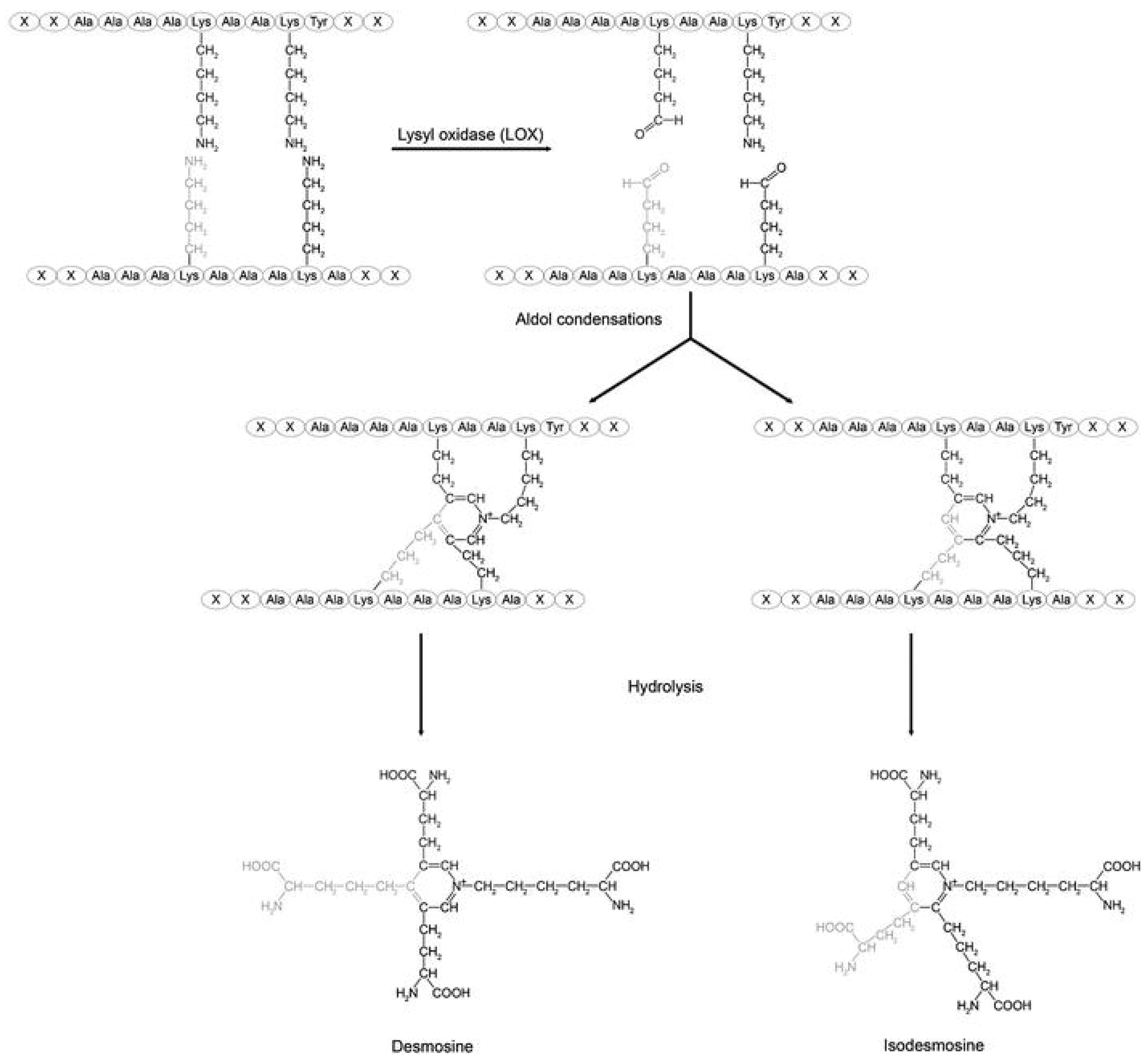 Diagnostics 15 00578 g001