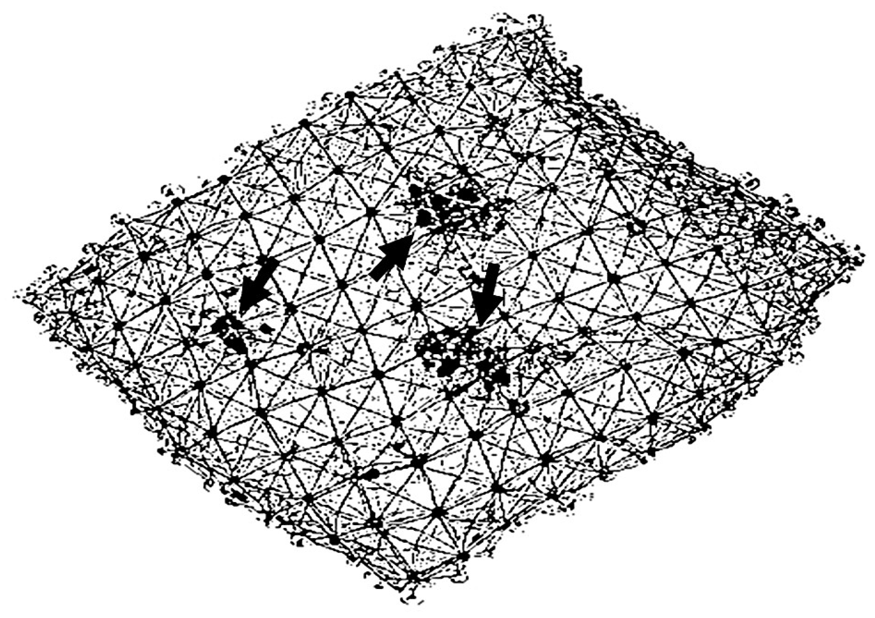 Diagnostics 15 00578 g002