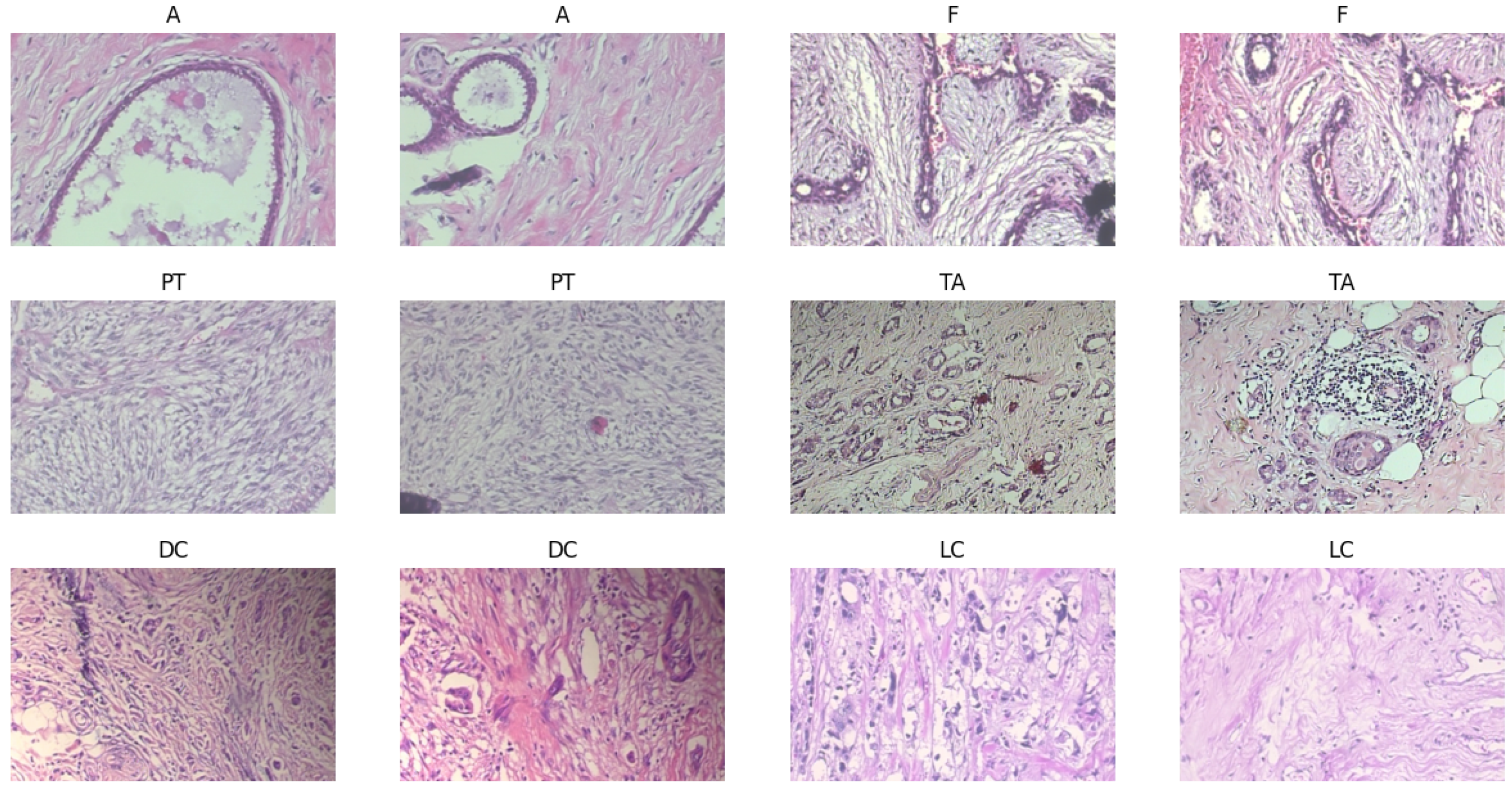 Diagnostics 15 00582 g003a