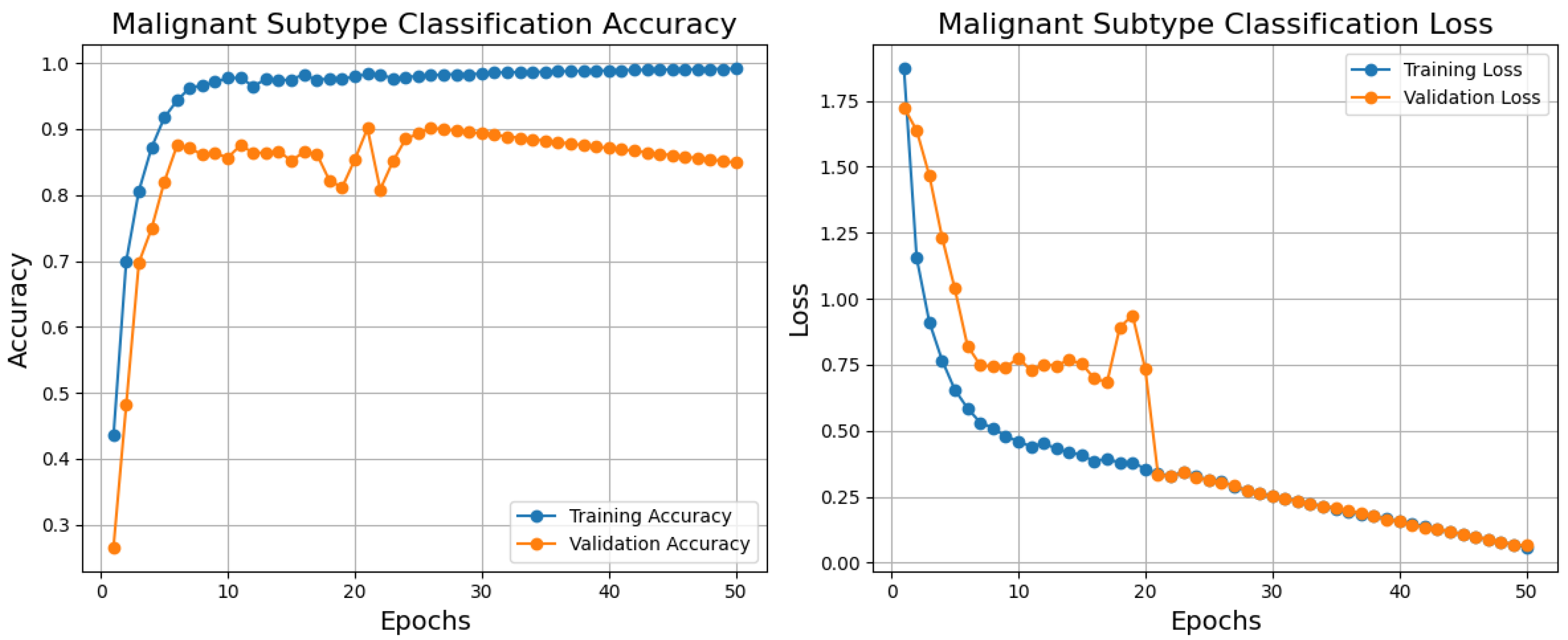 Diagnostics 15 00582 g008