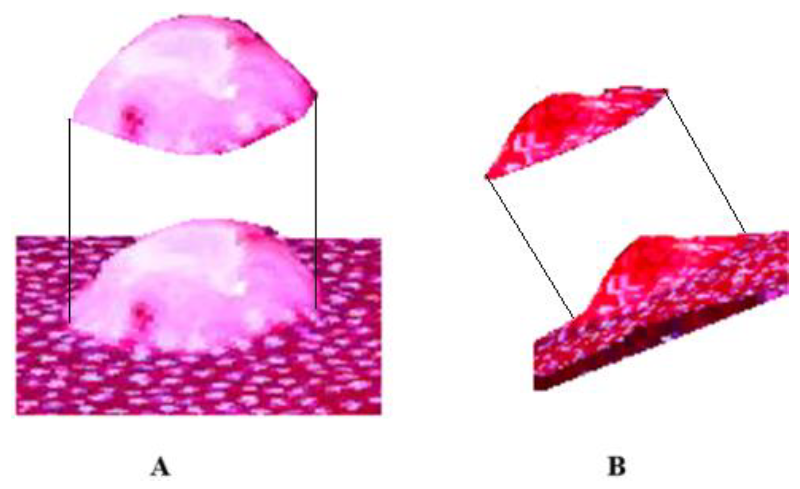 Diagnostics 15 00584 g009