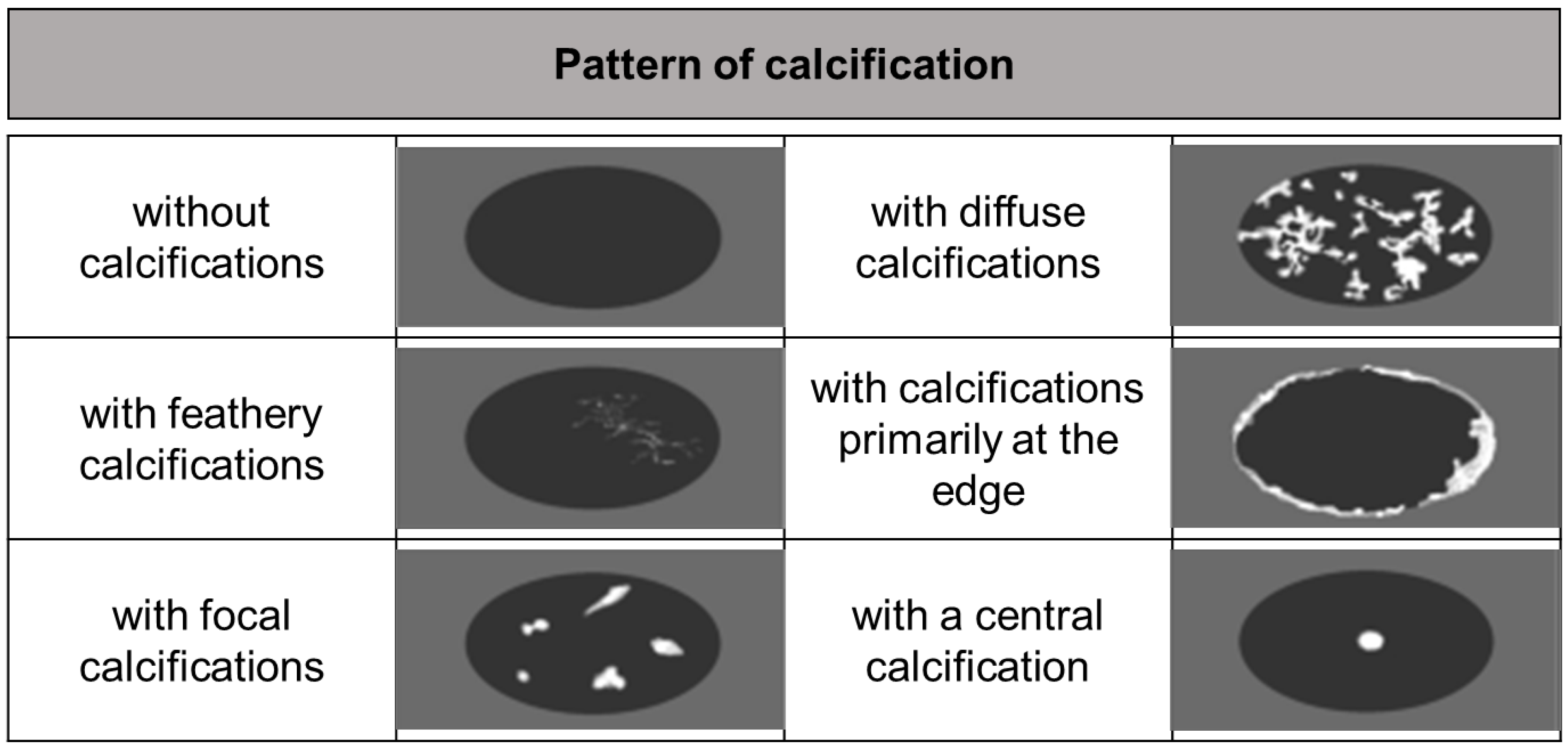 Diagnostics 15 00585 g006