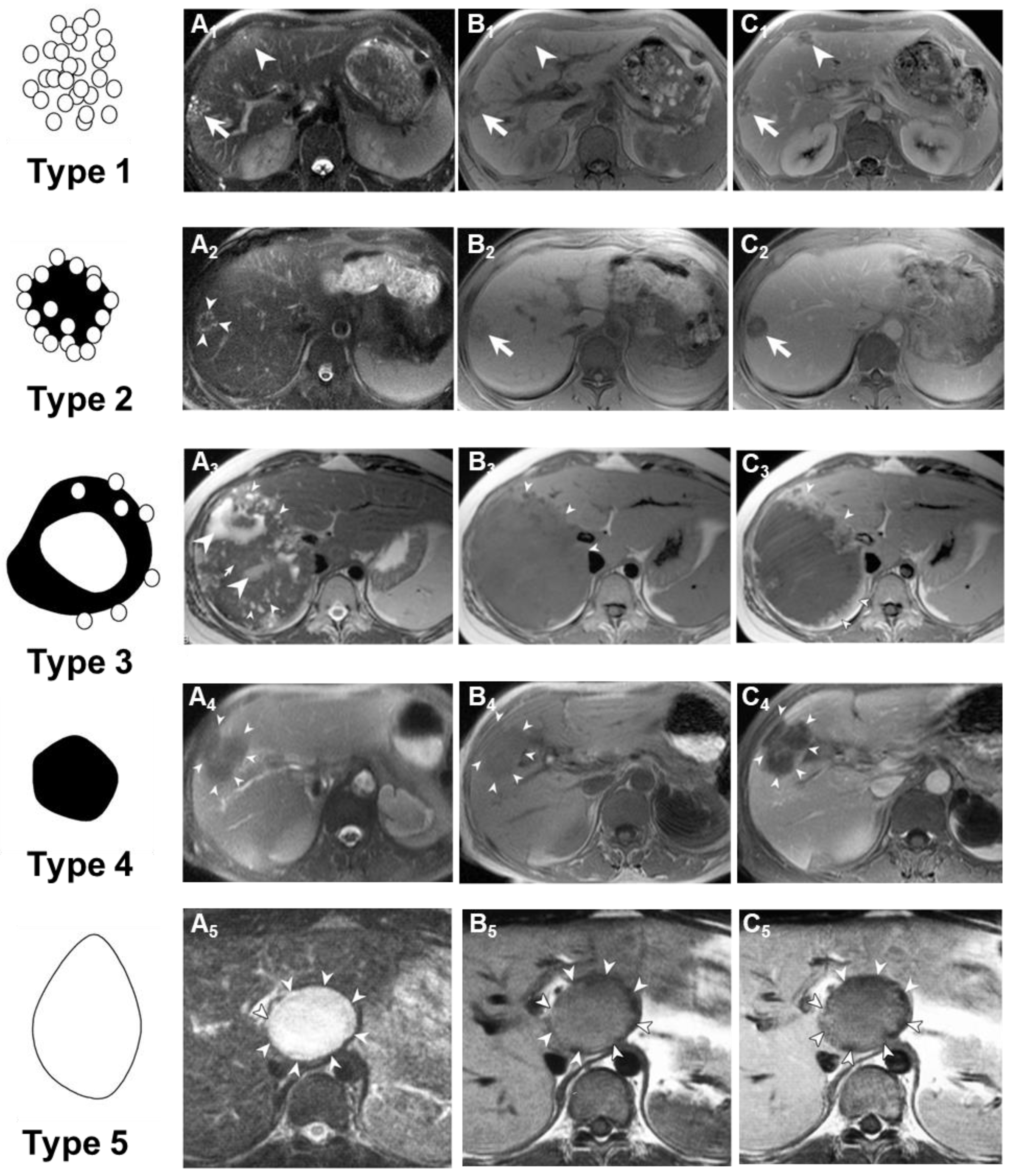 Diagnostics 15 00585 g007