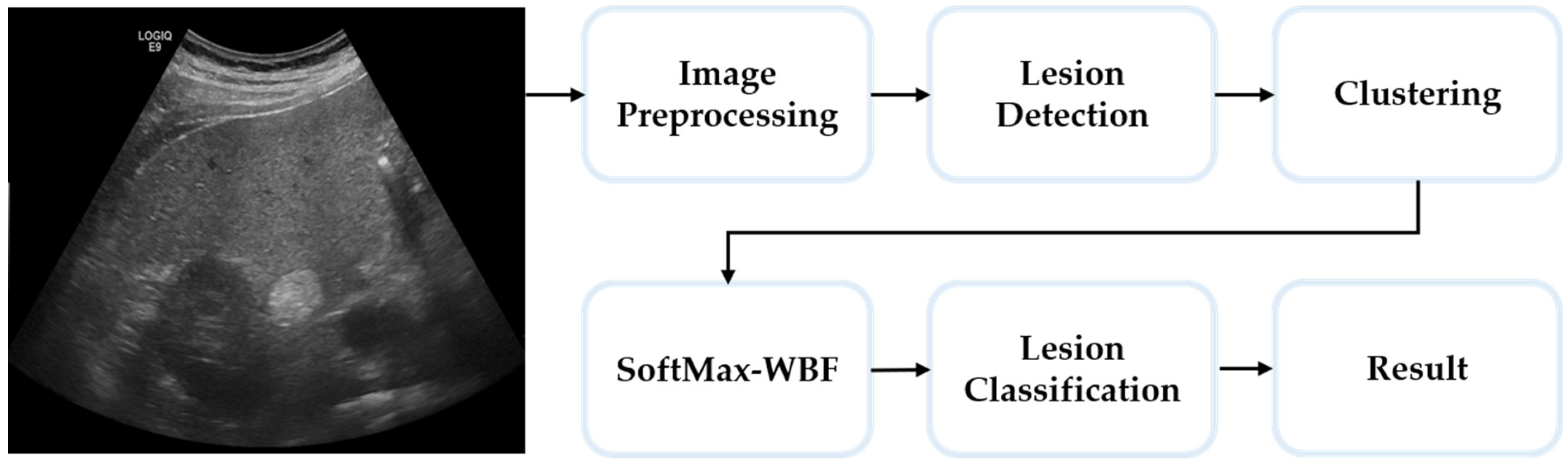 Diagnostics 15 00588 g002