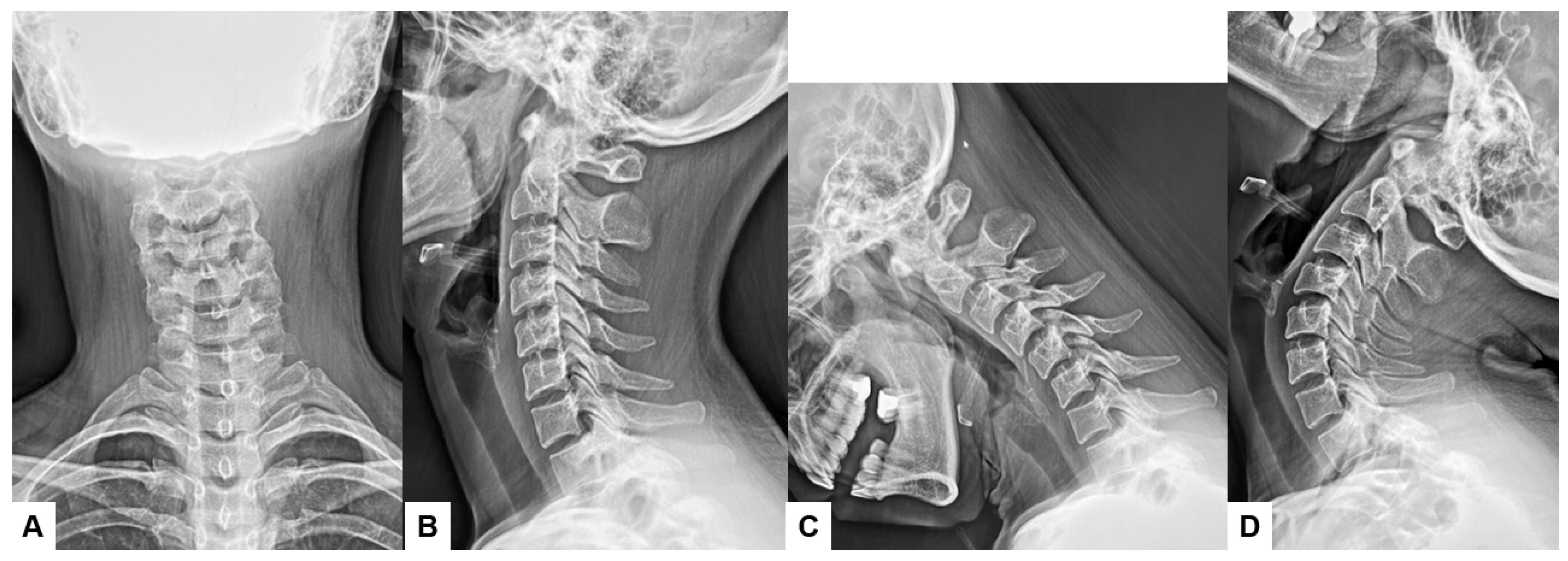 Diagnostics 15 00594 g001