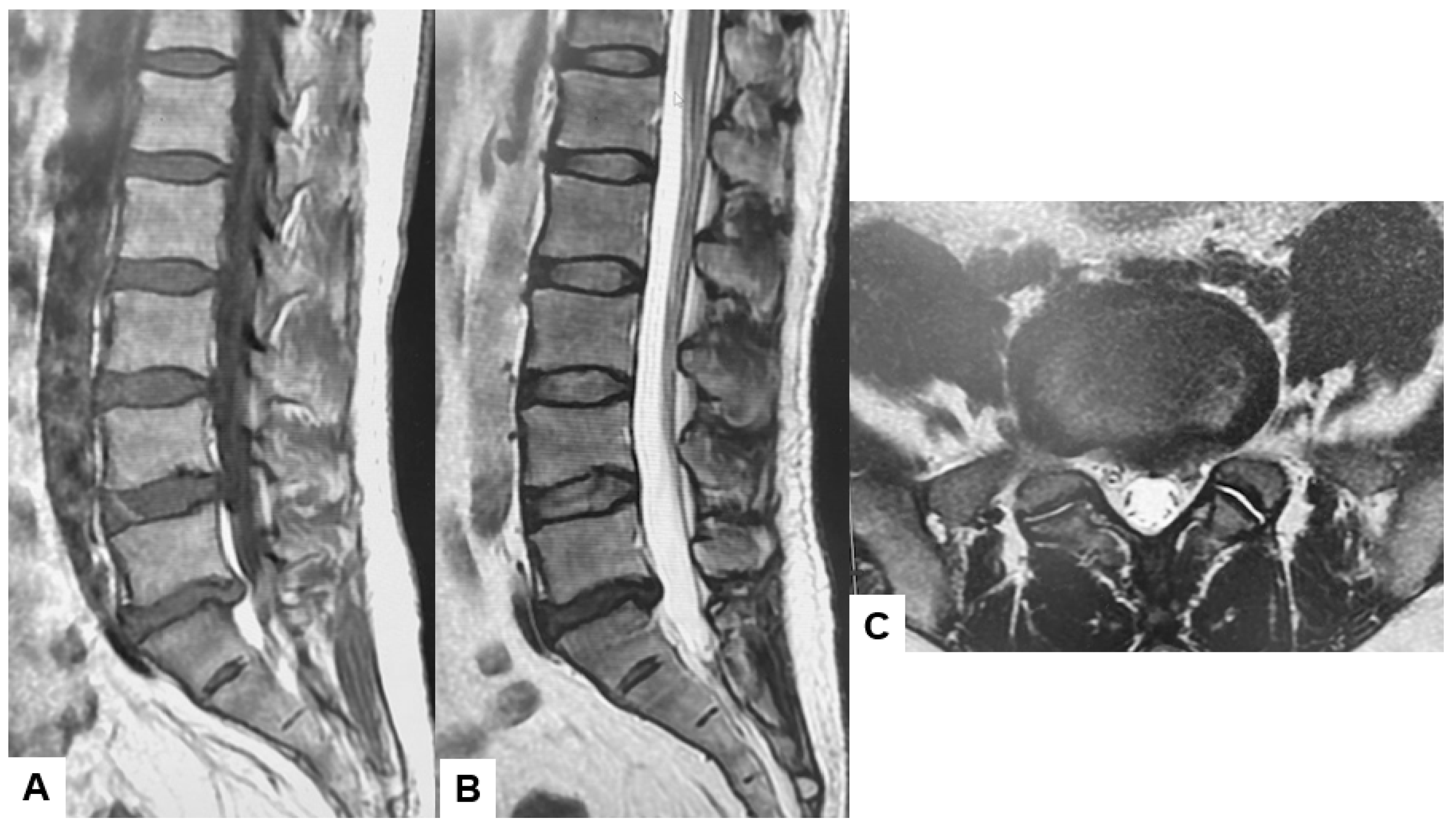 Diagnostics 15 00594 g003