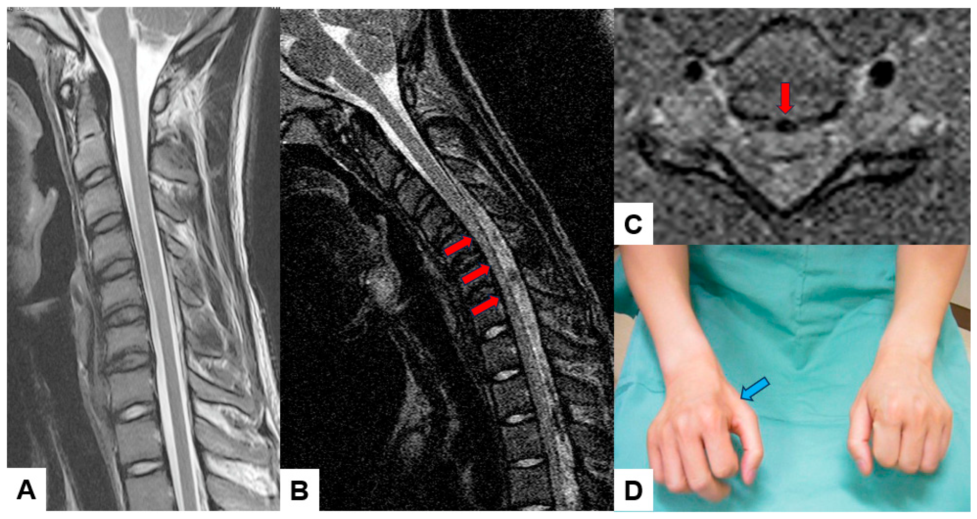 Diagnostics 15 00594 g007