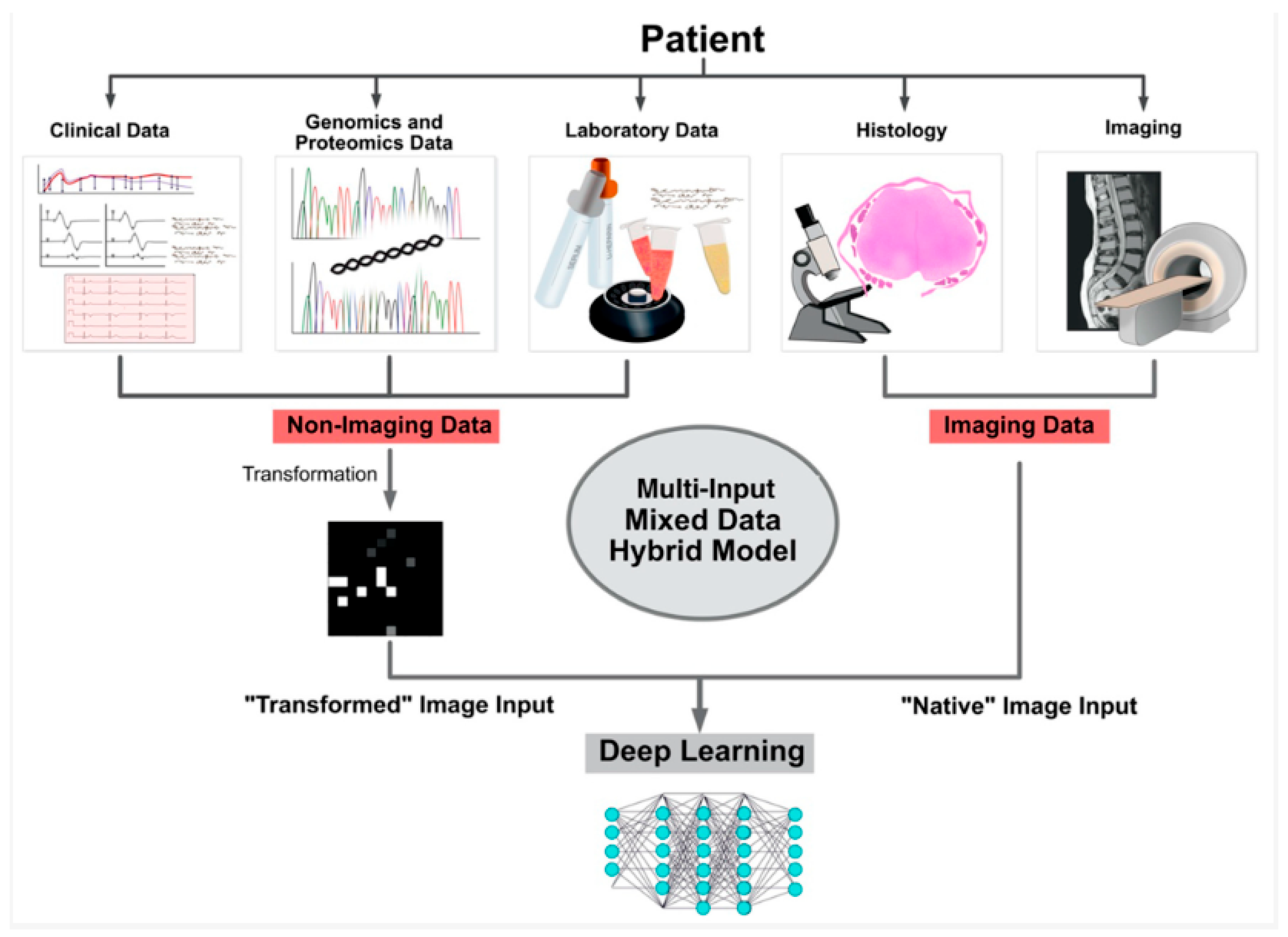 Diagnostics 15 00594 g008