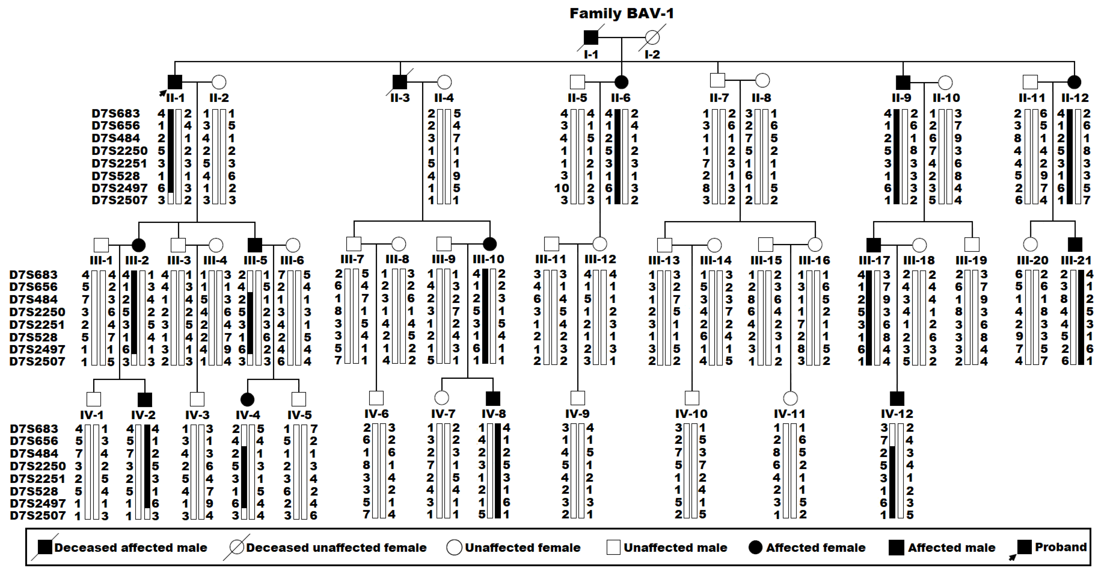 Diagnostics 15 00600 g001