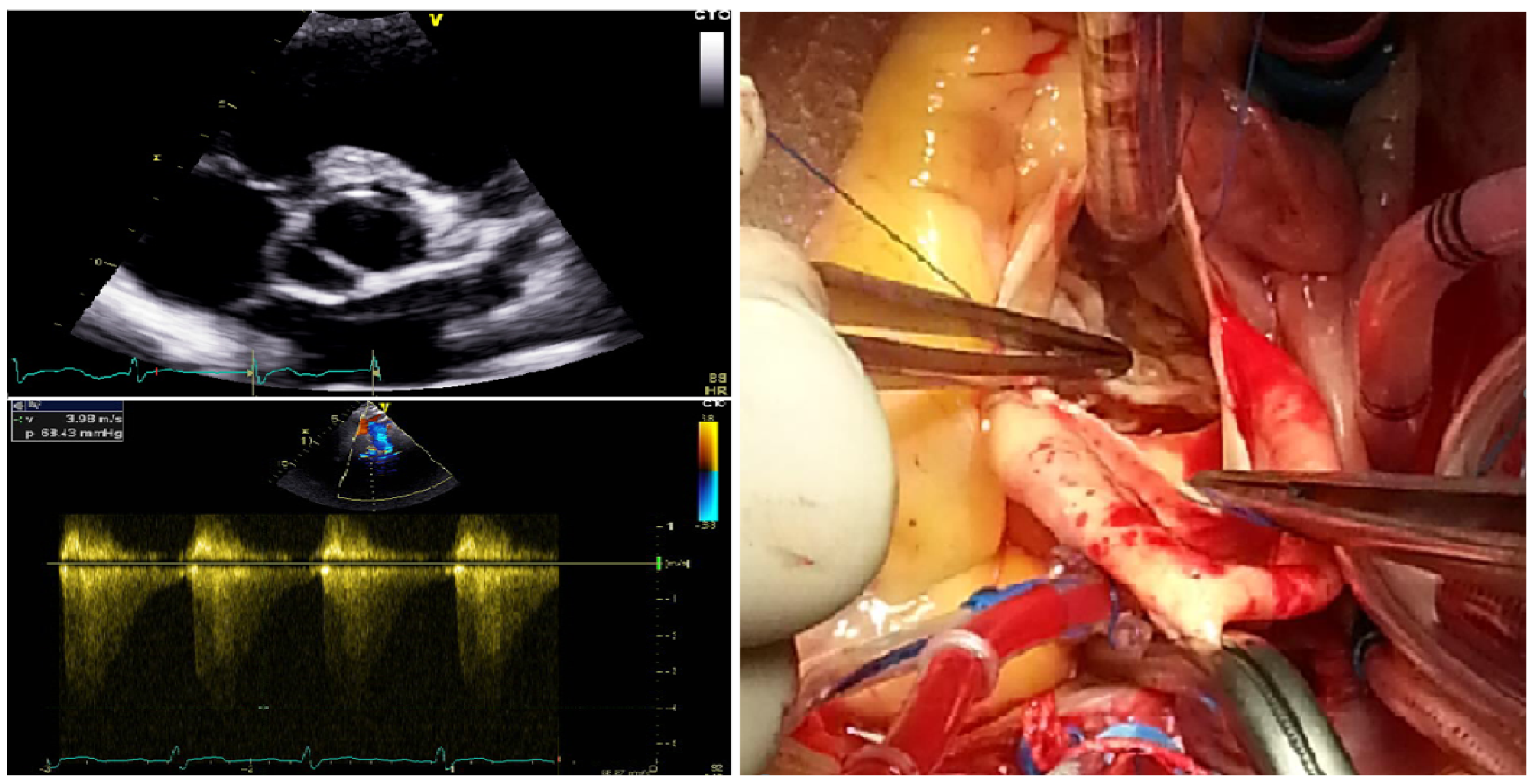 Diagnostics 15 00600 g002