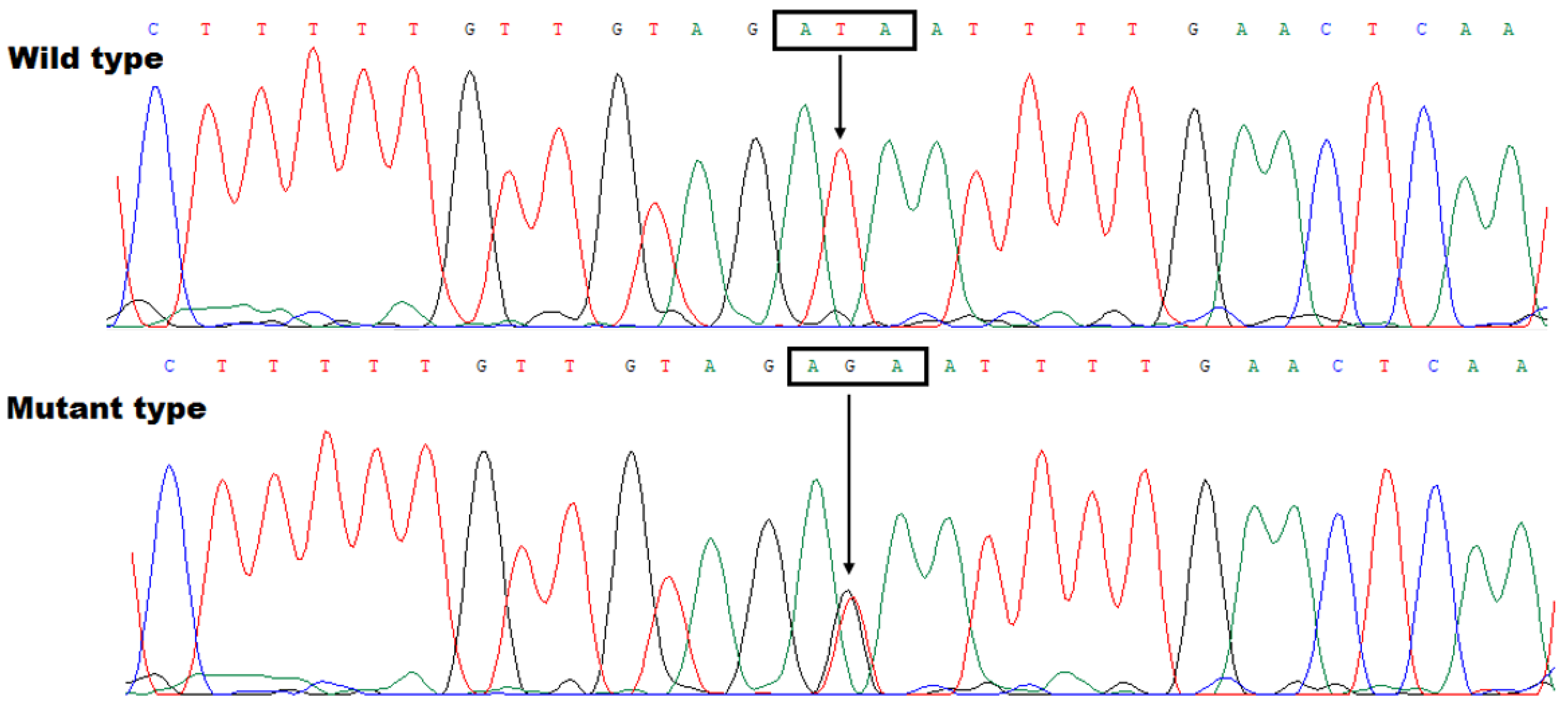 Diagnostics 15 00600 g003