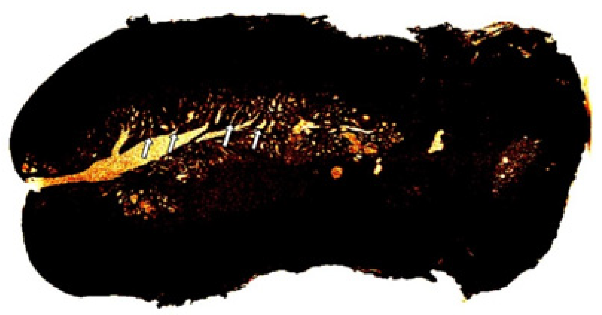 Diagnostics 15 00603 g010