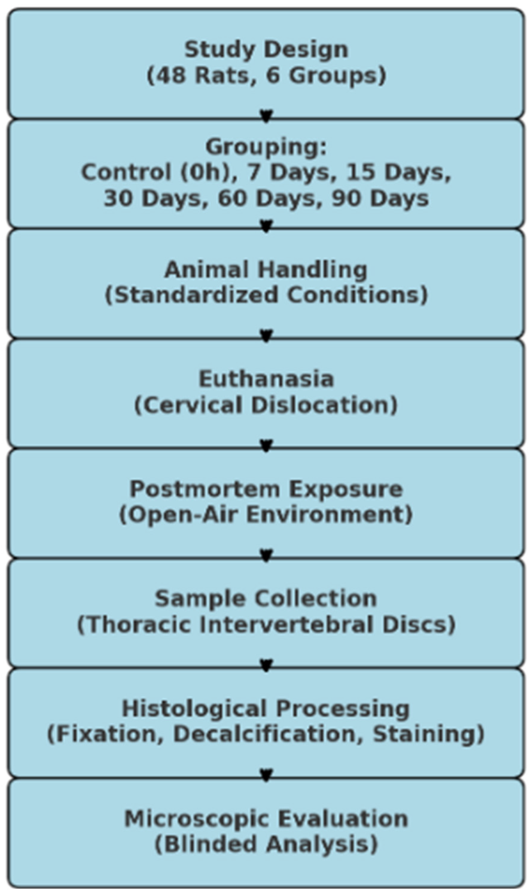 Diagnostics 15 00605 g001