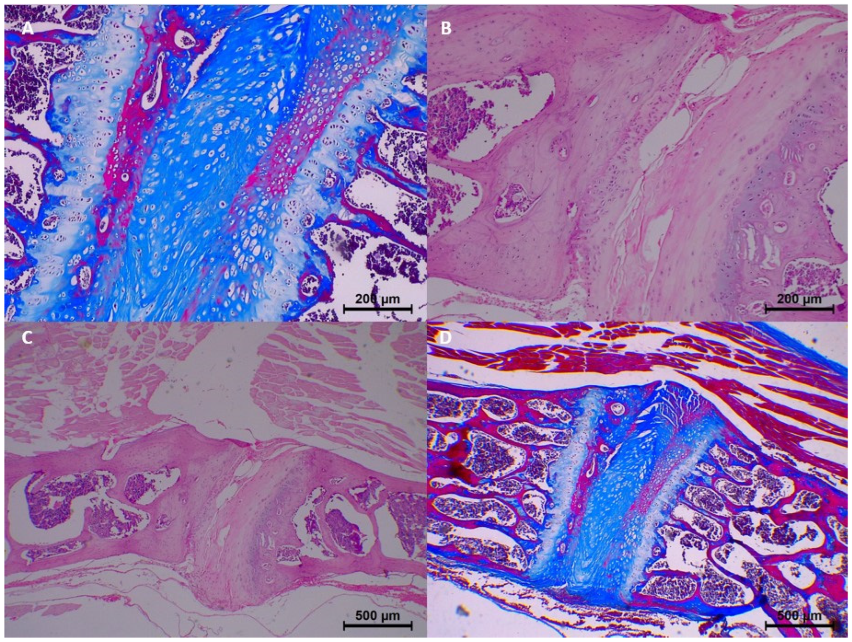 Diagnostics 15 00605 g002