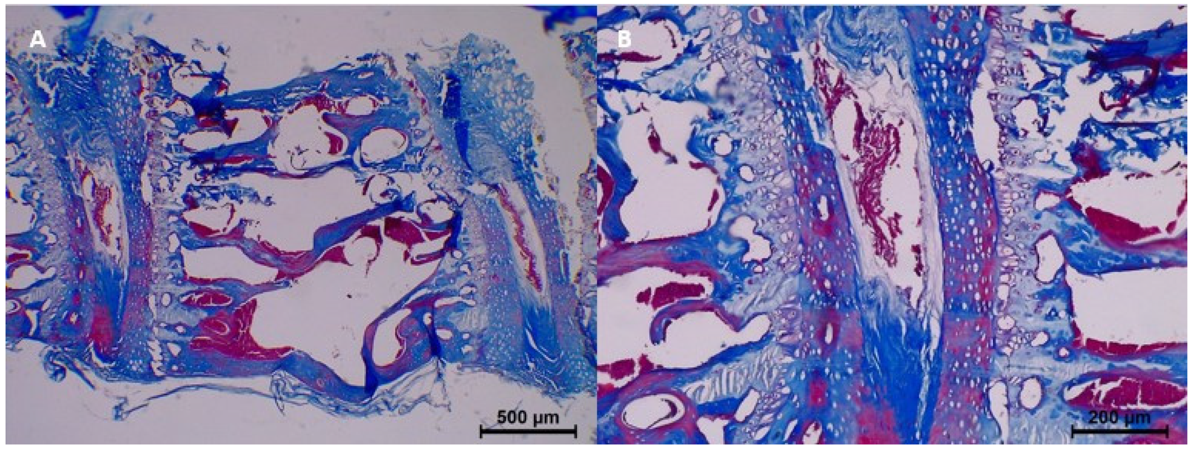 Diagnostics 15 00605 g004