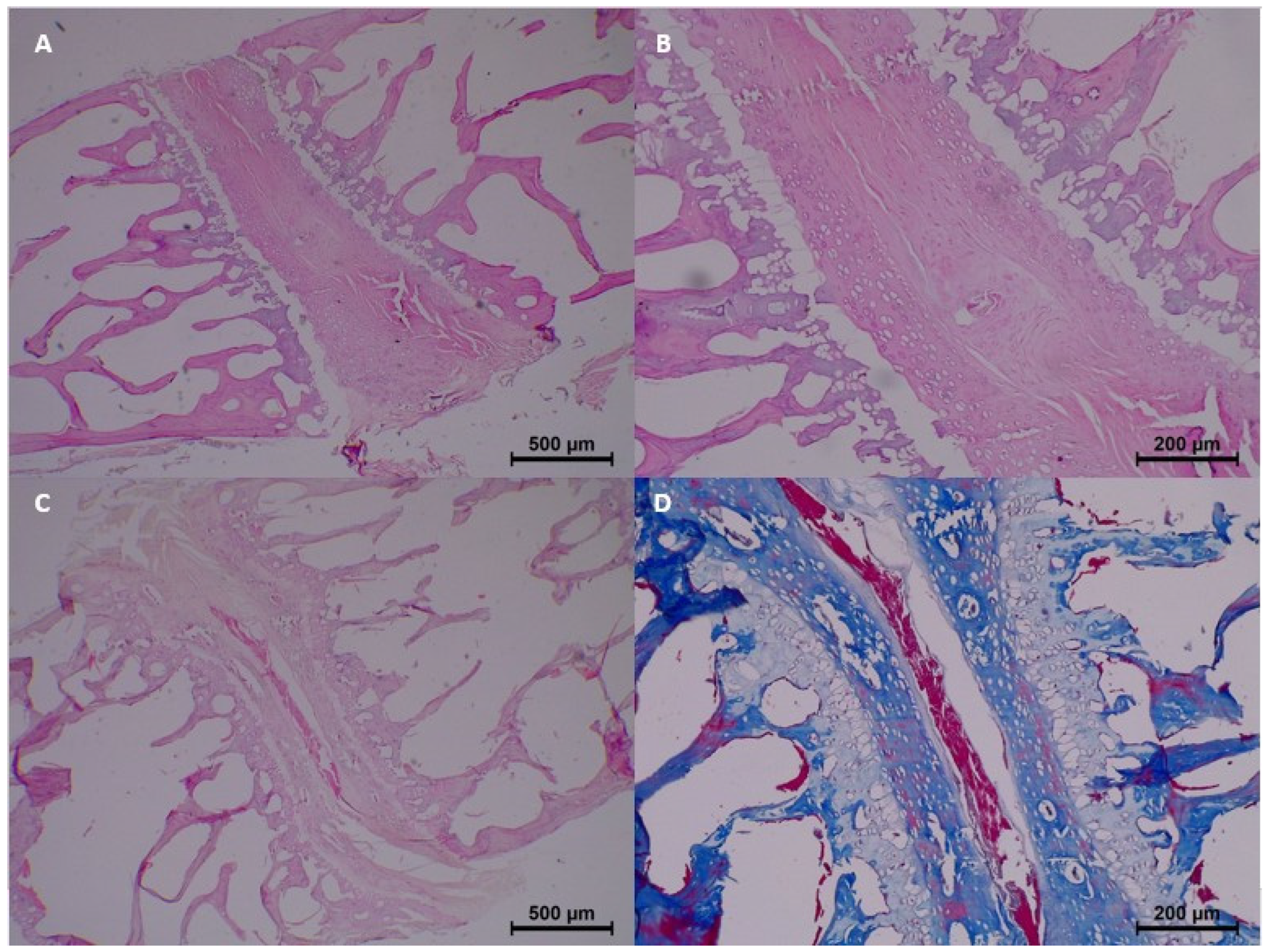Diagnostics 15 00605 g005