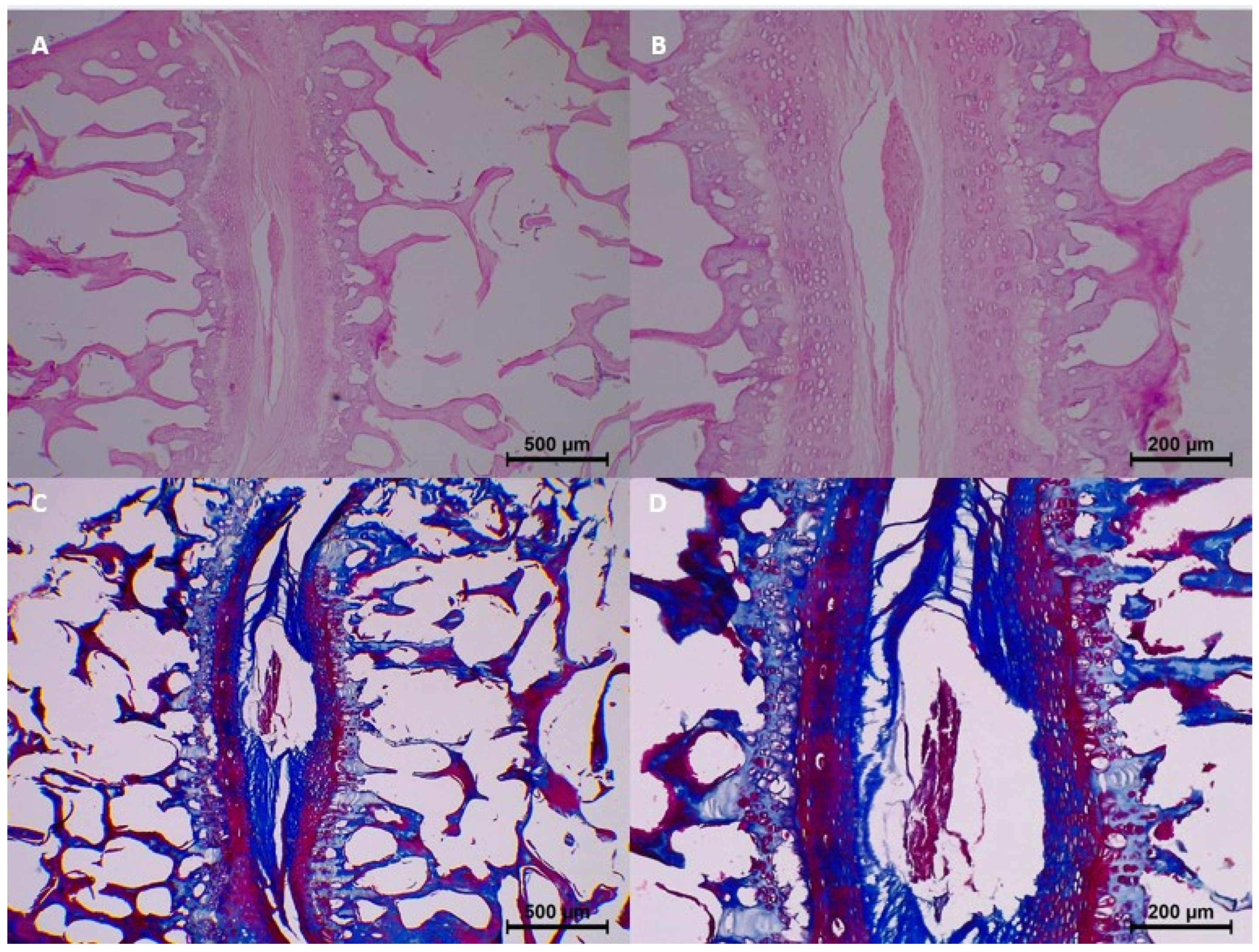 Diagnostics 15 00605 g006