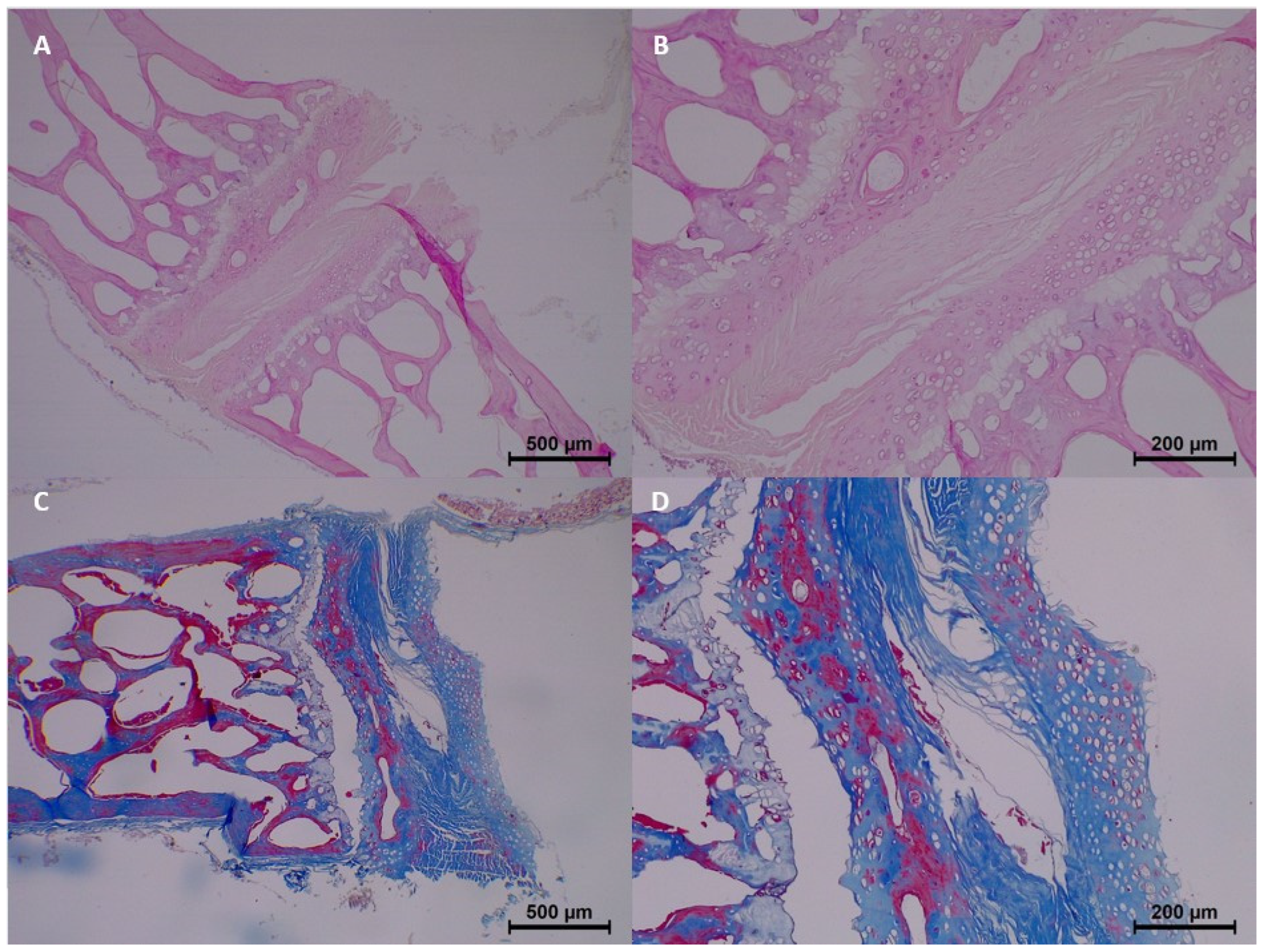 Diagnostics 15 00605 g007