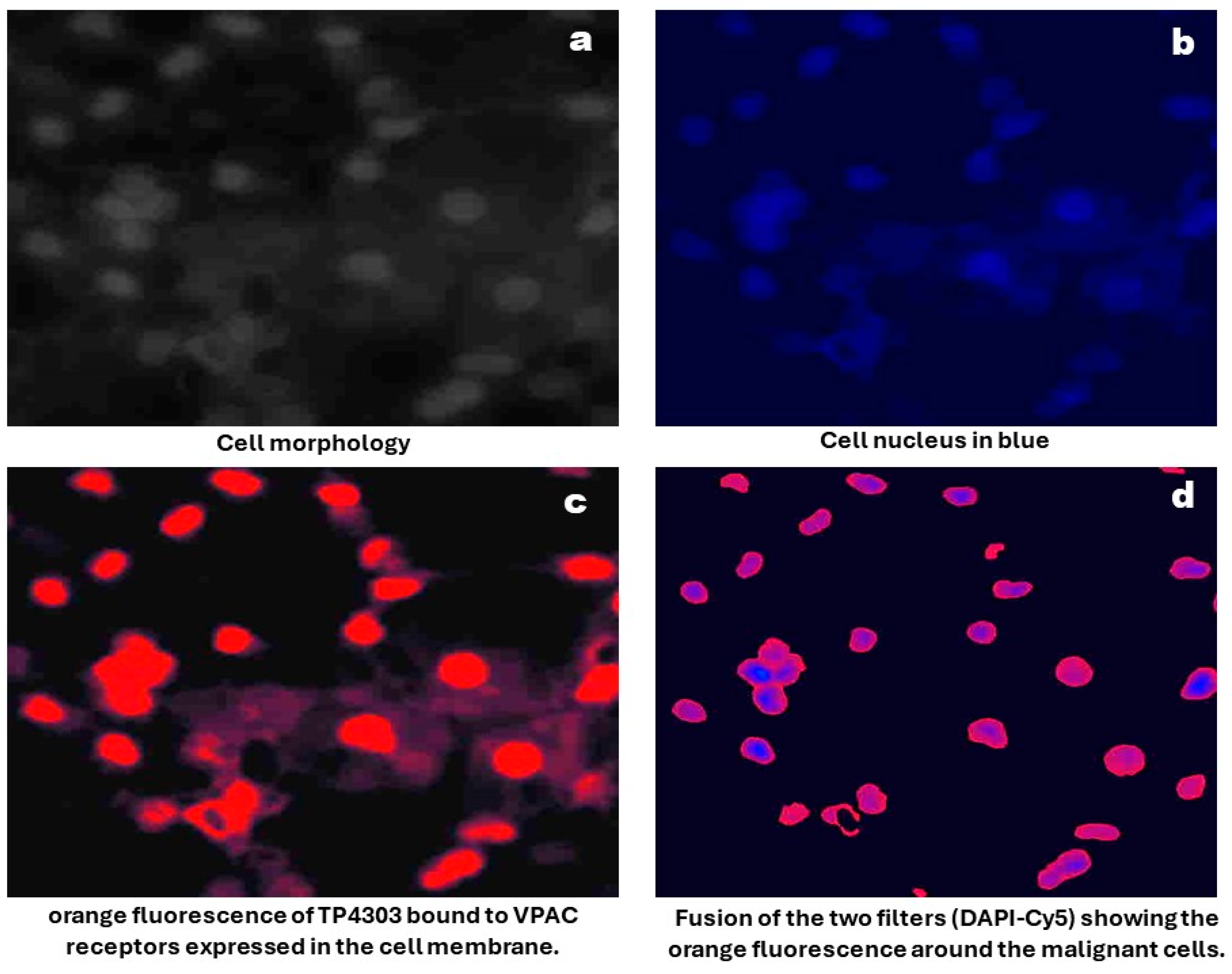 Diagnostics 15 00607 g001