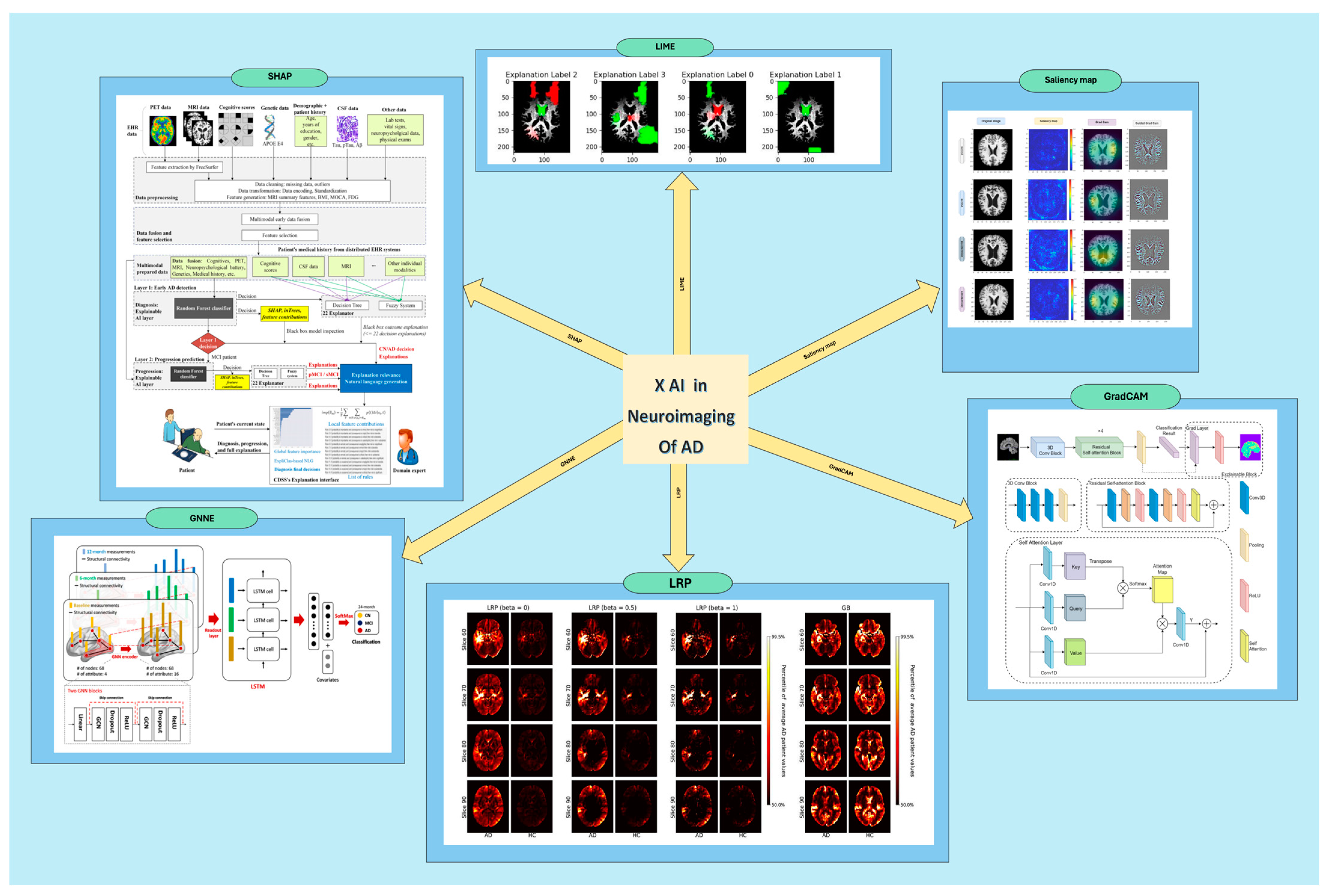 Diagnostics 15 00612 g002