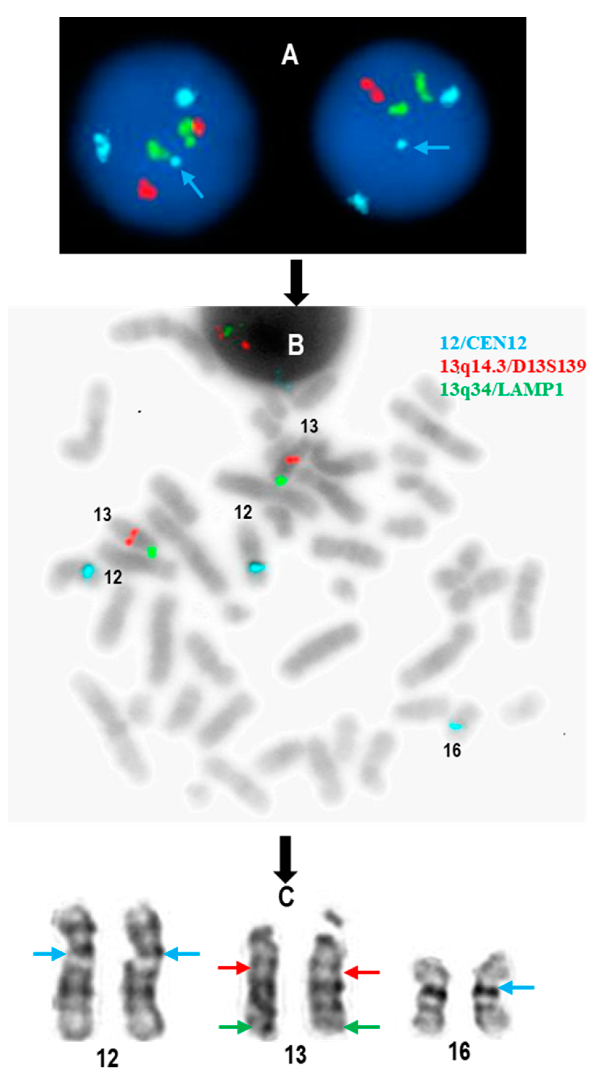 Diagnostics 15 00618 g002