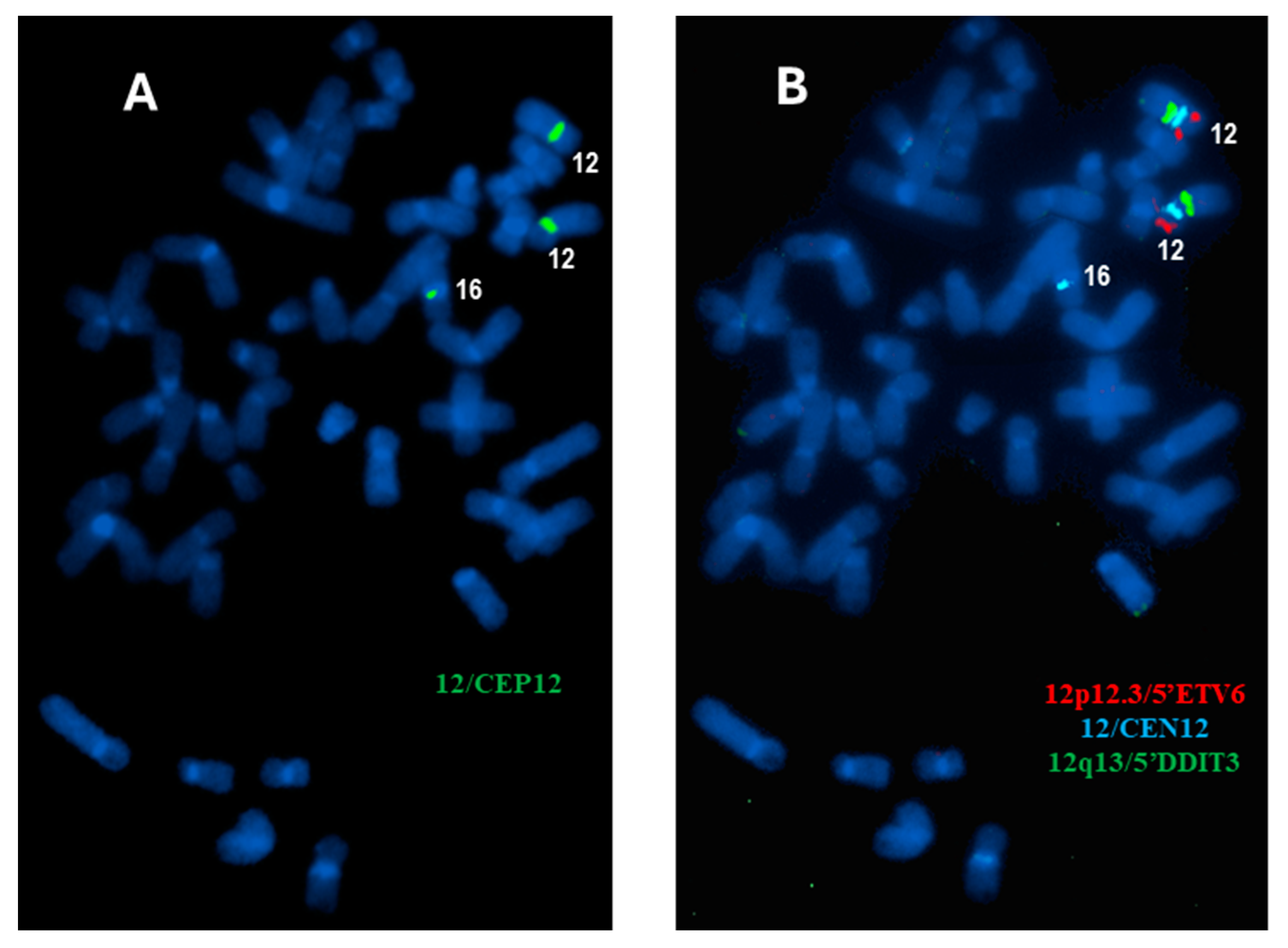 Diagnostics 15 00618 g003