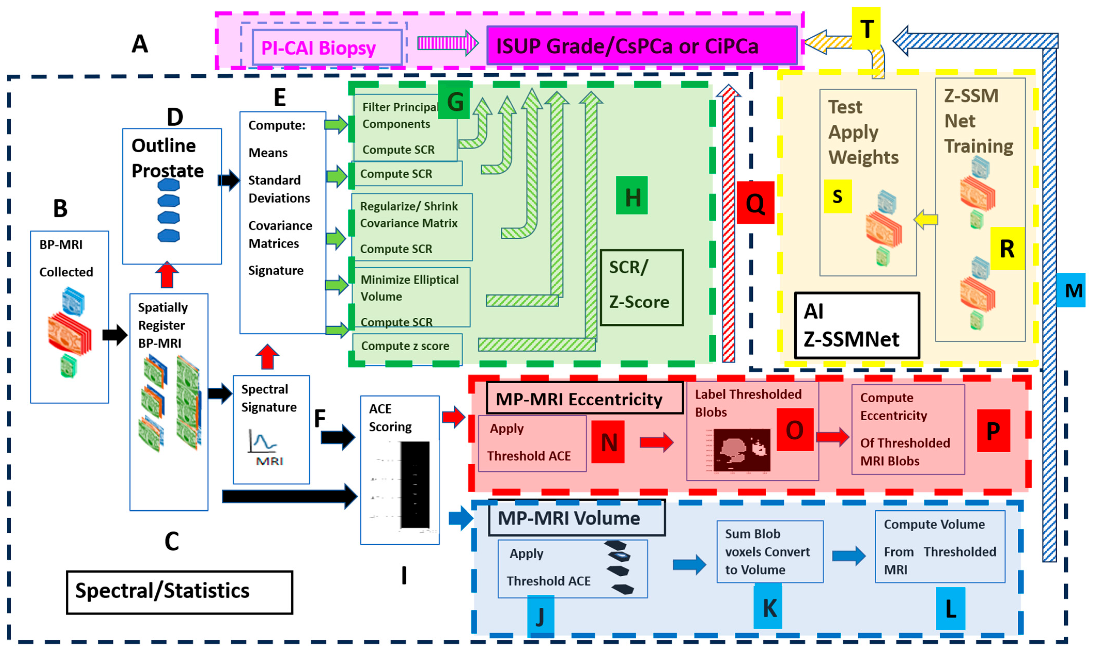 Diagnostics 15 00625 g001