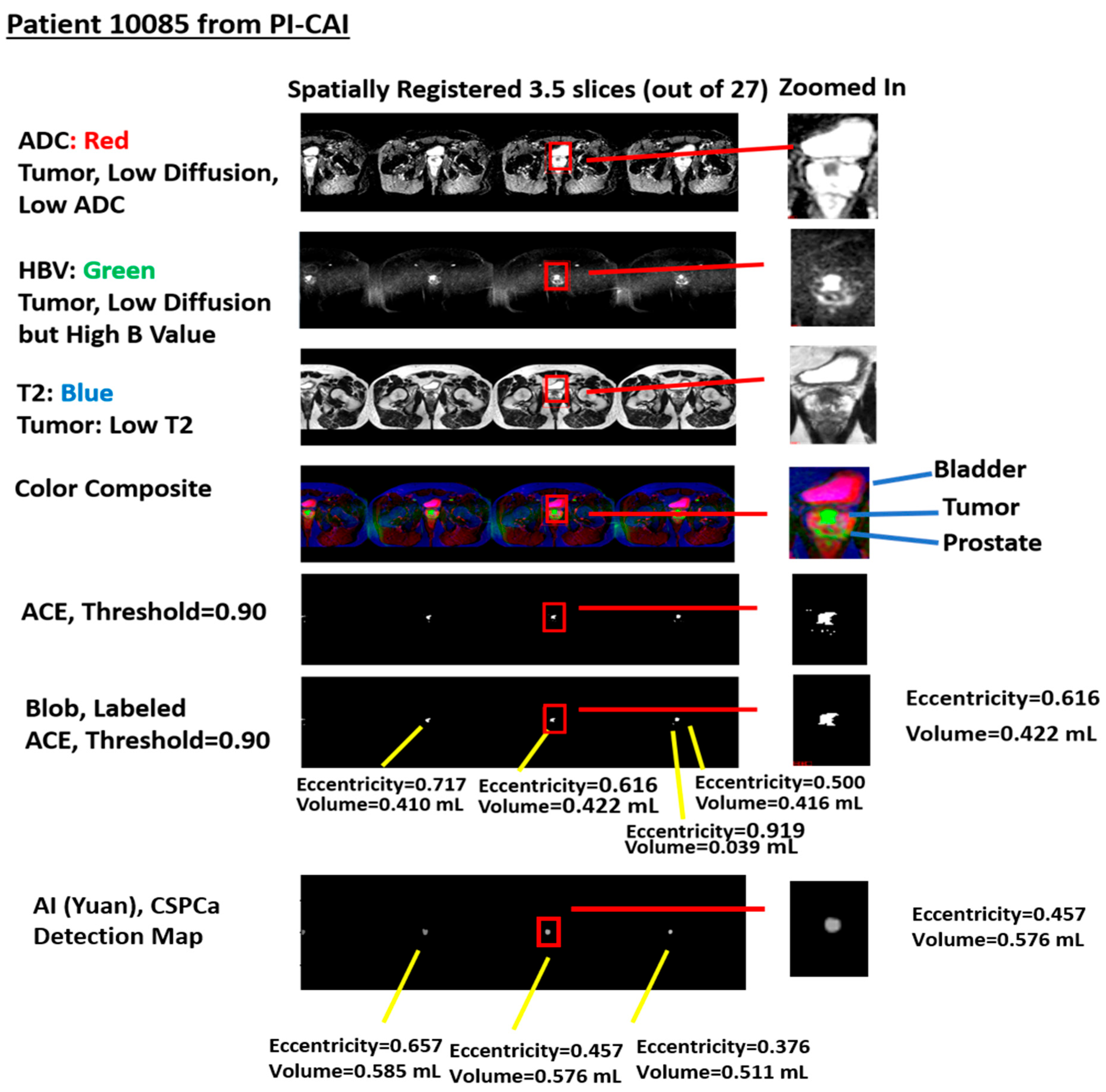 Diagnostics 15 00625 g002