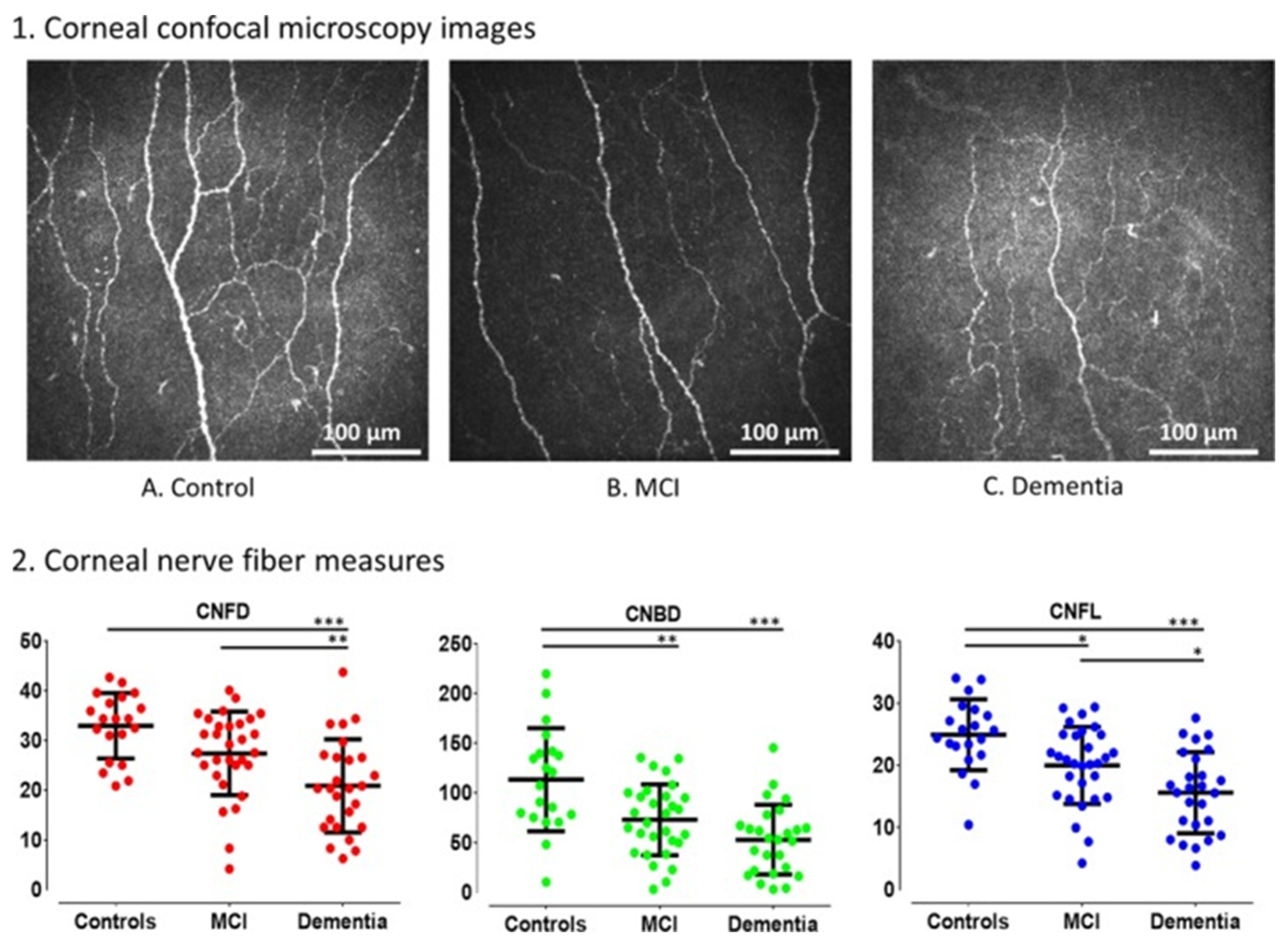 Diagnostics 15 00643 g002 Diagnostics 15 00643 g002