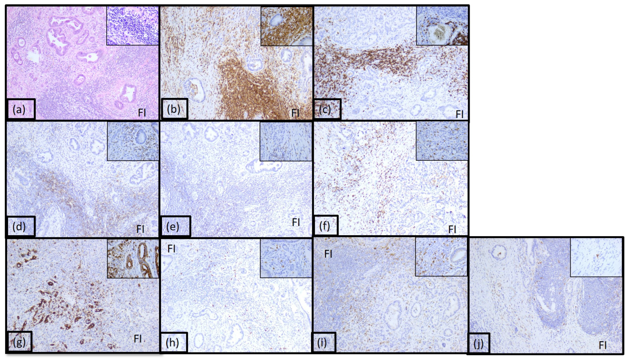 Diagnostics 15 00646 g002