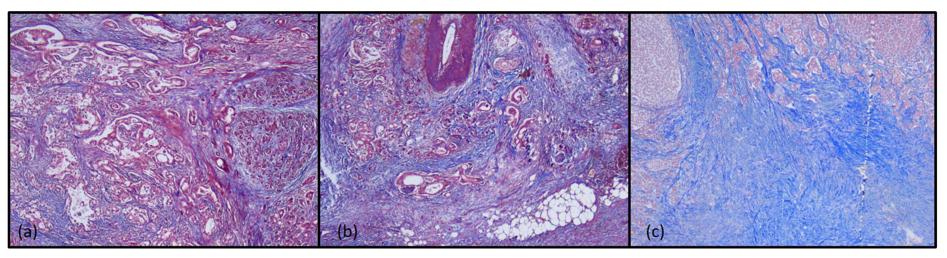Diagnostics 15 00646 g005