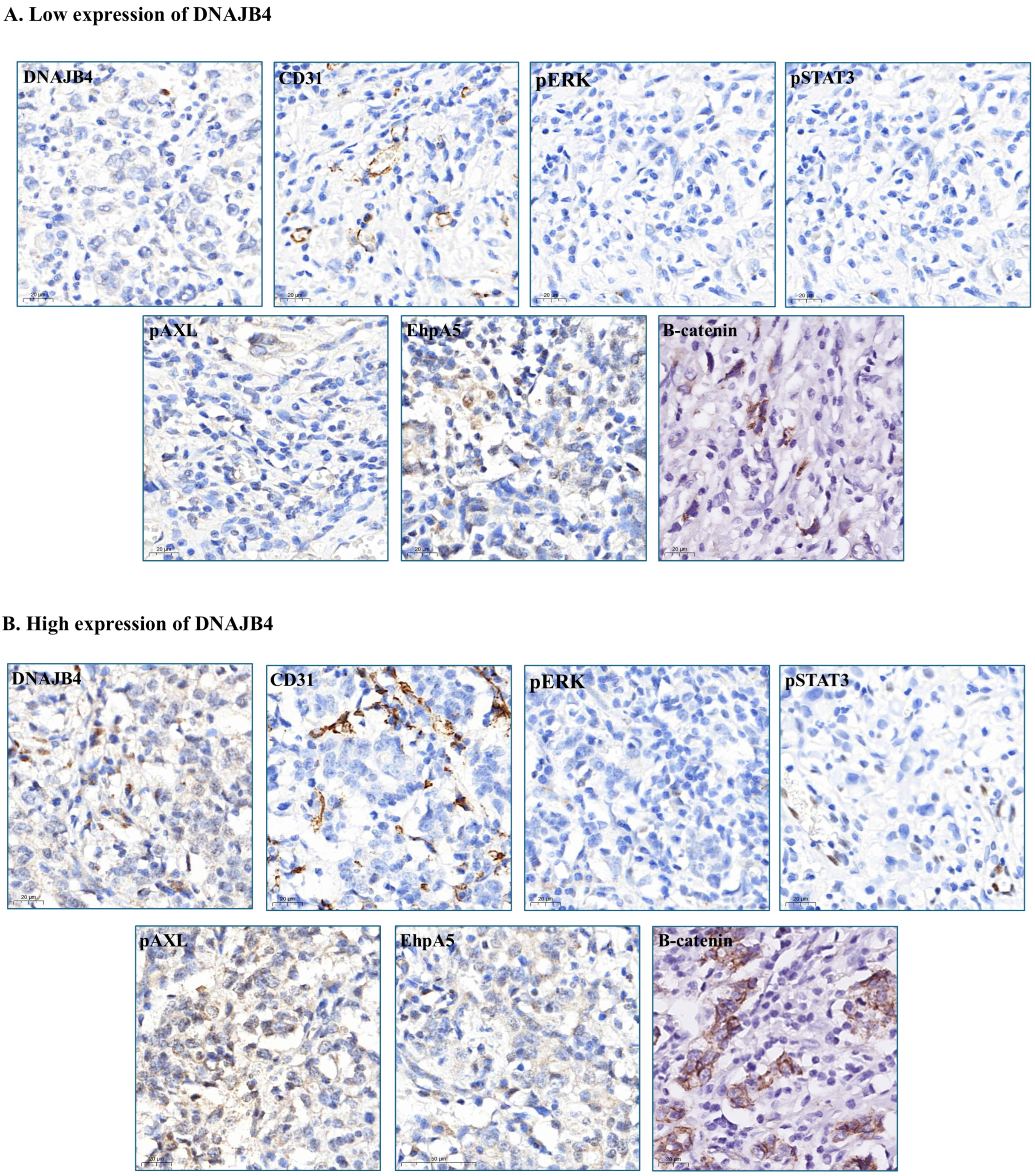 Diagnostics 15 00652 g002