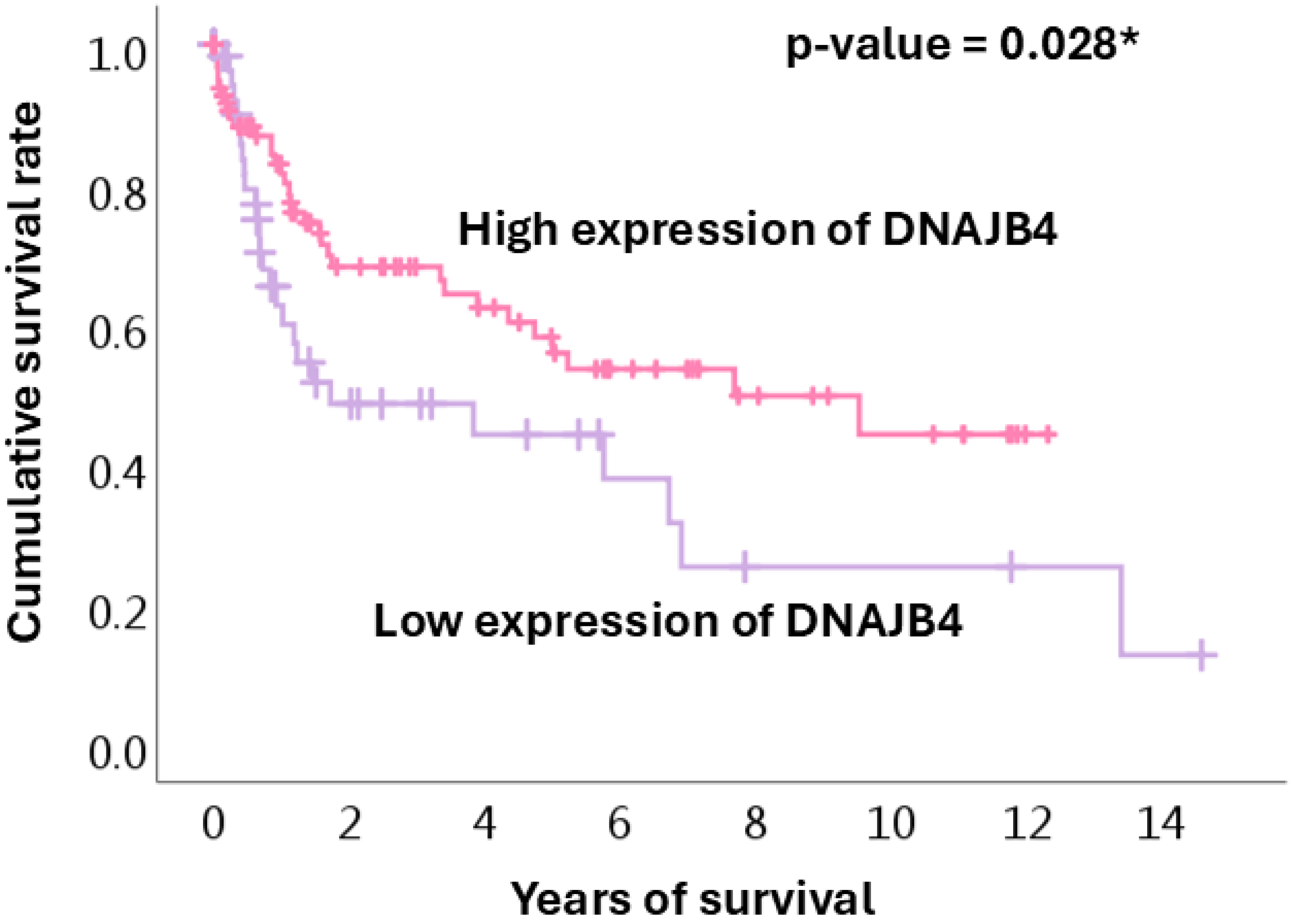 Diagnostics 15 00652 g003