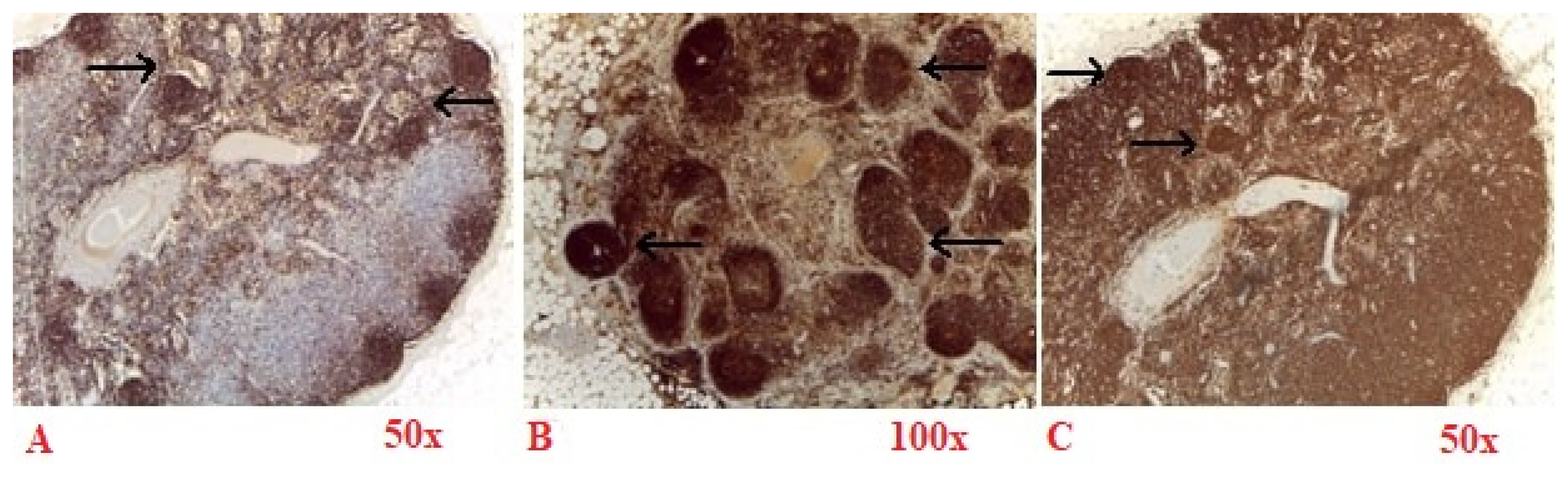 Diagnostics 15 00659 g004