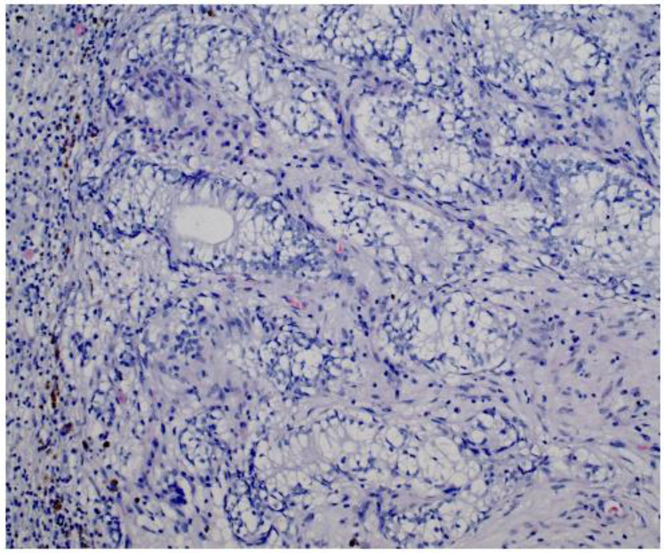 Diagnostics 15 00666 g004