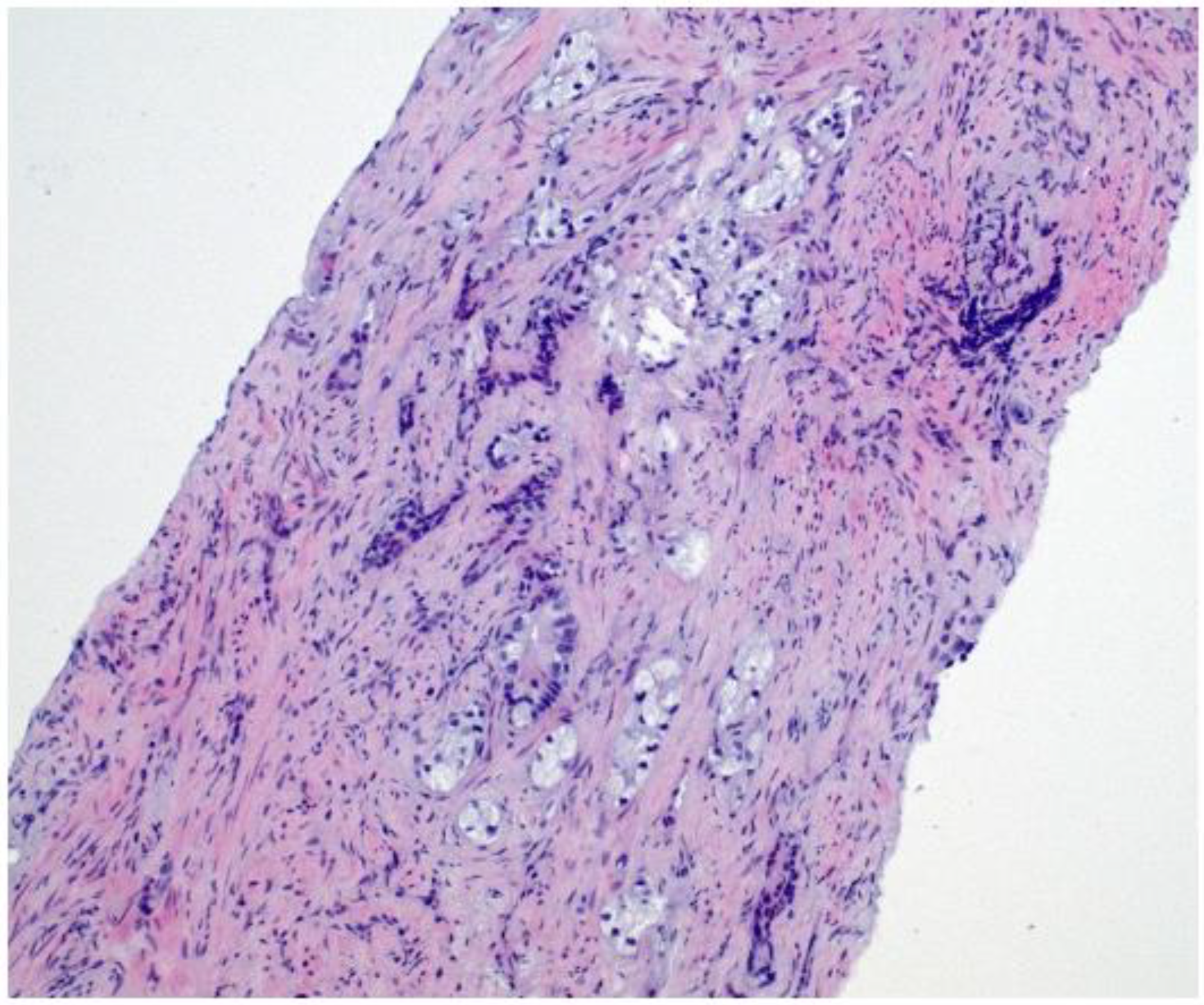 Diagnostics 15 00666 g008