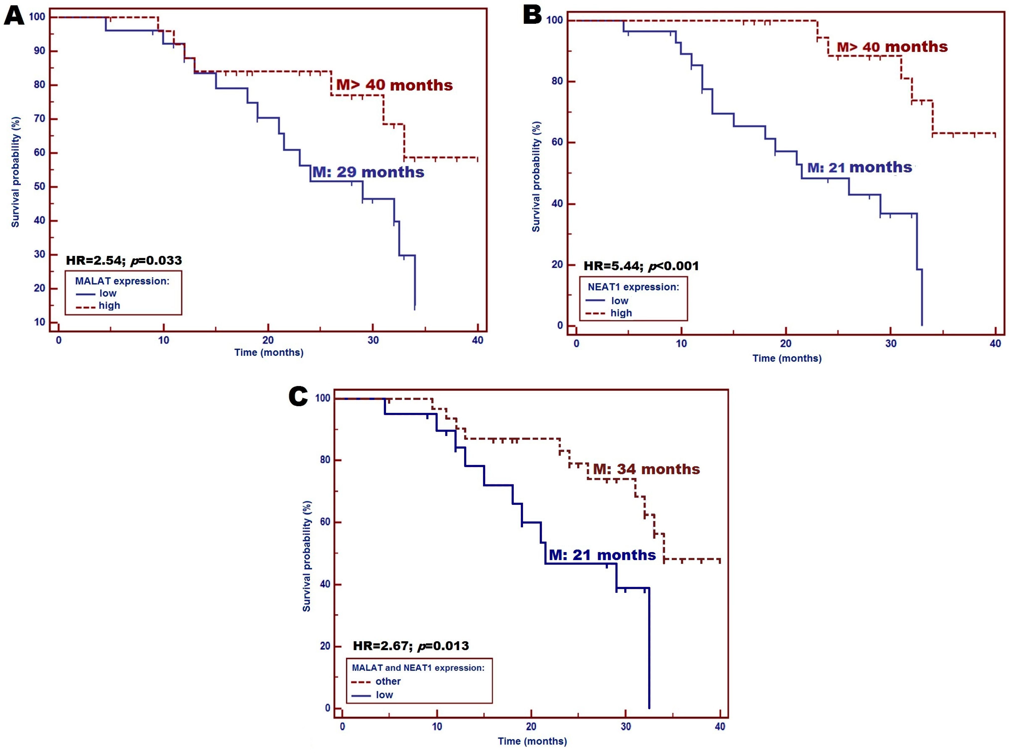 Diagnostics 15 00676 g004