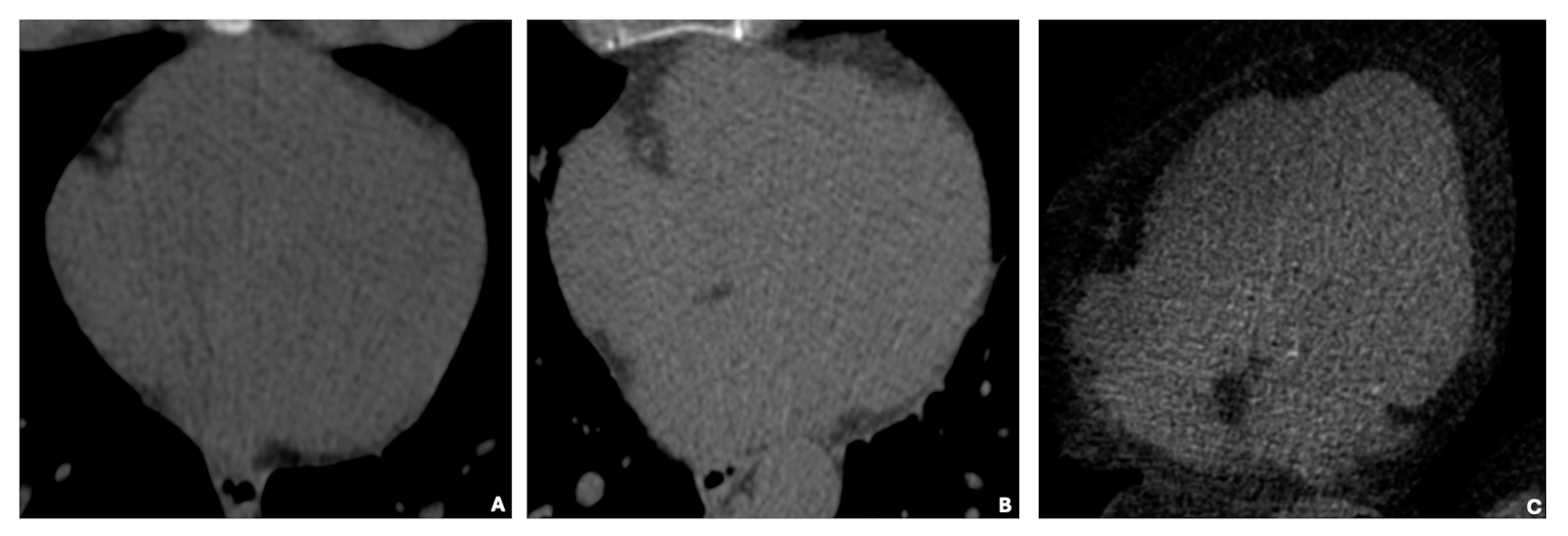 Diagnostics 15 00681 g003