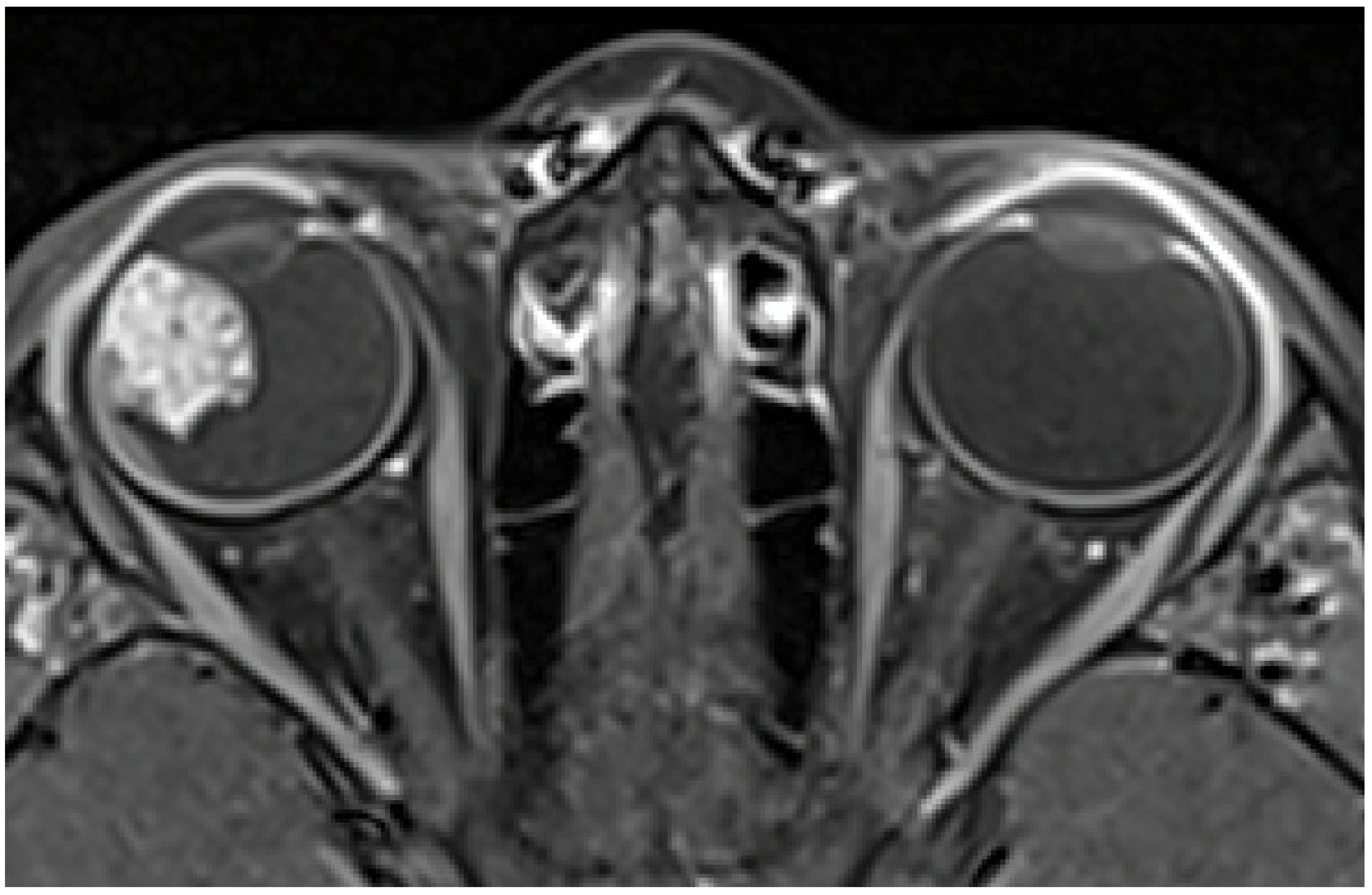 Diagnostics 15 00694 g002