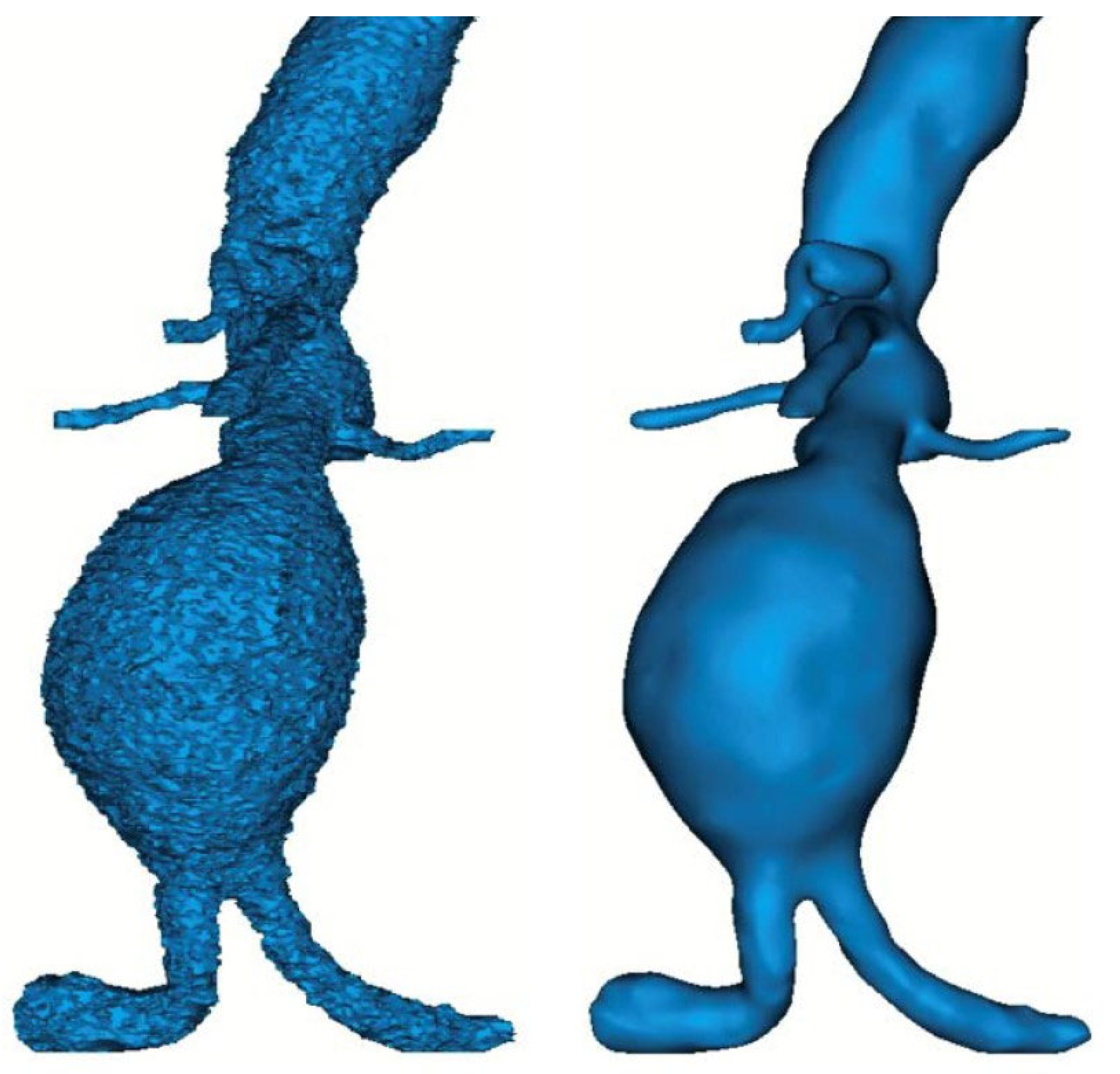 Diagnostics 15 00697 g003