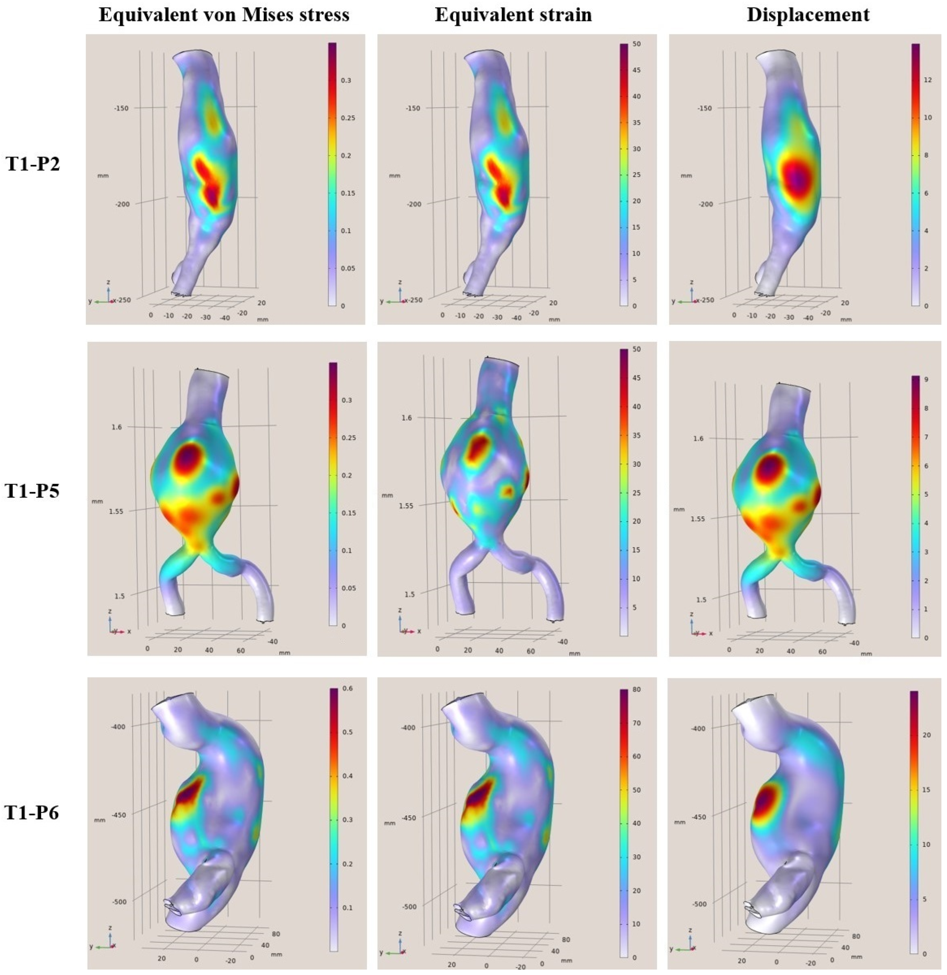 Diagnostics 15 00697 g004