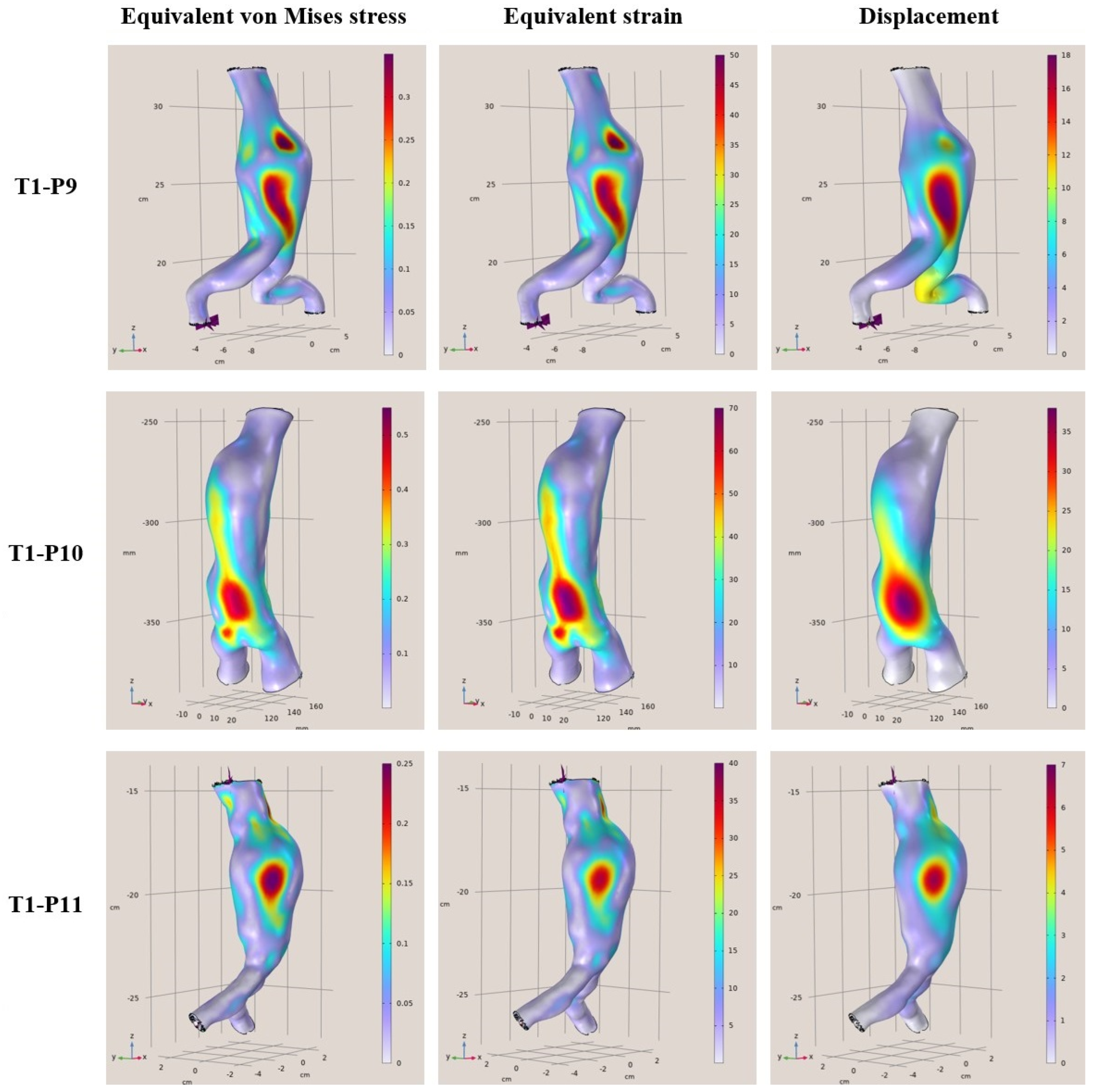 Diagnostics 15 00697 g005