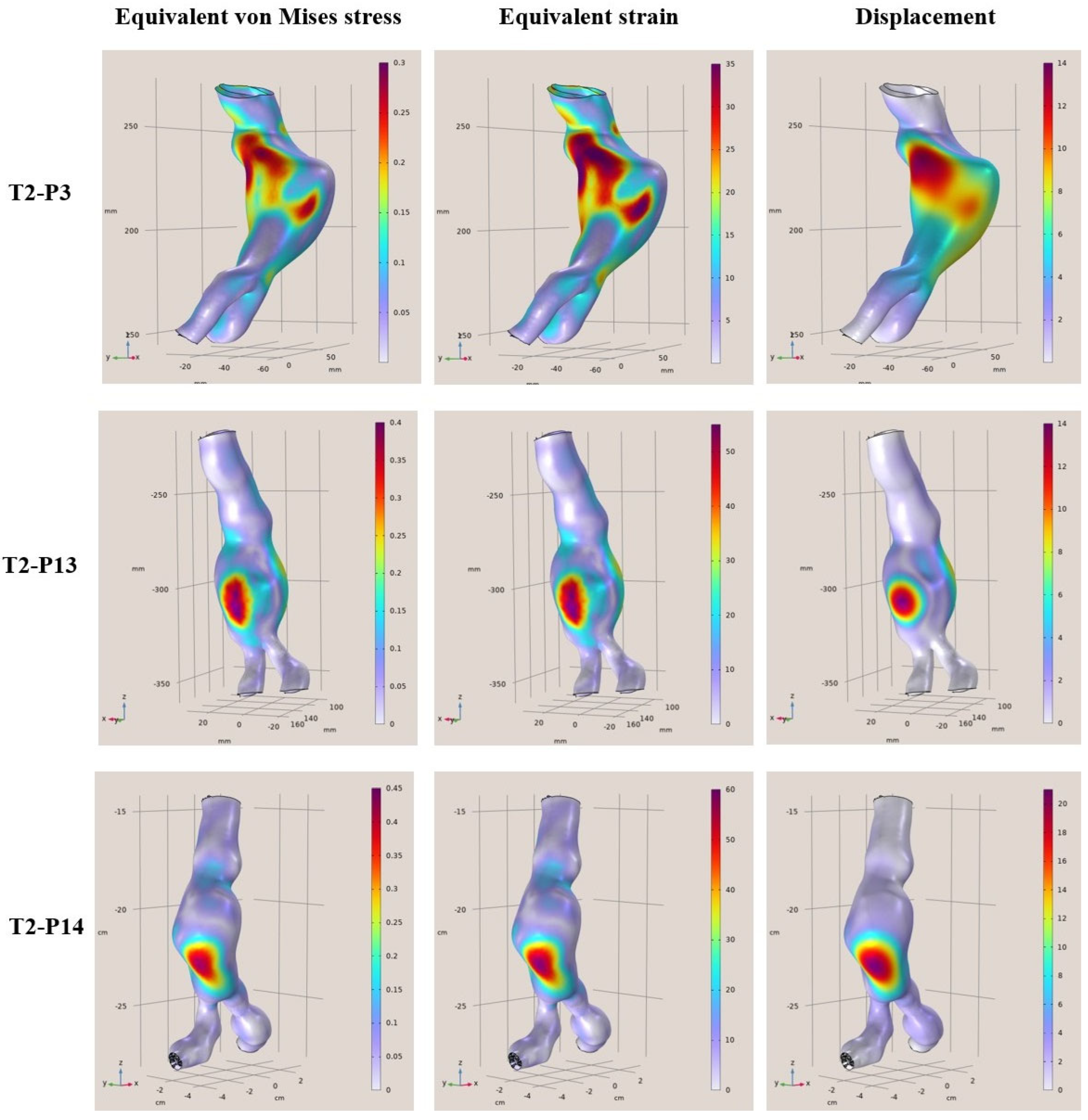 Diagnostics 15 00697 g007