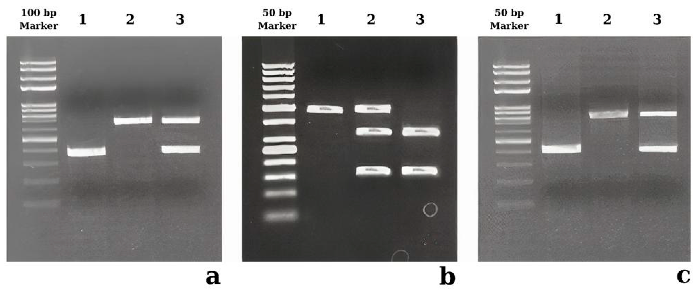 Diagnostics 15 00701 g001