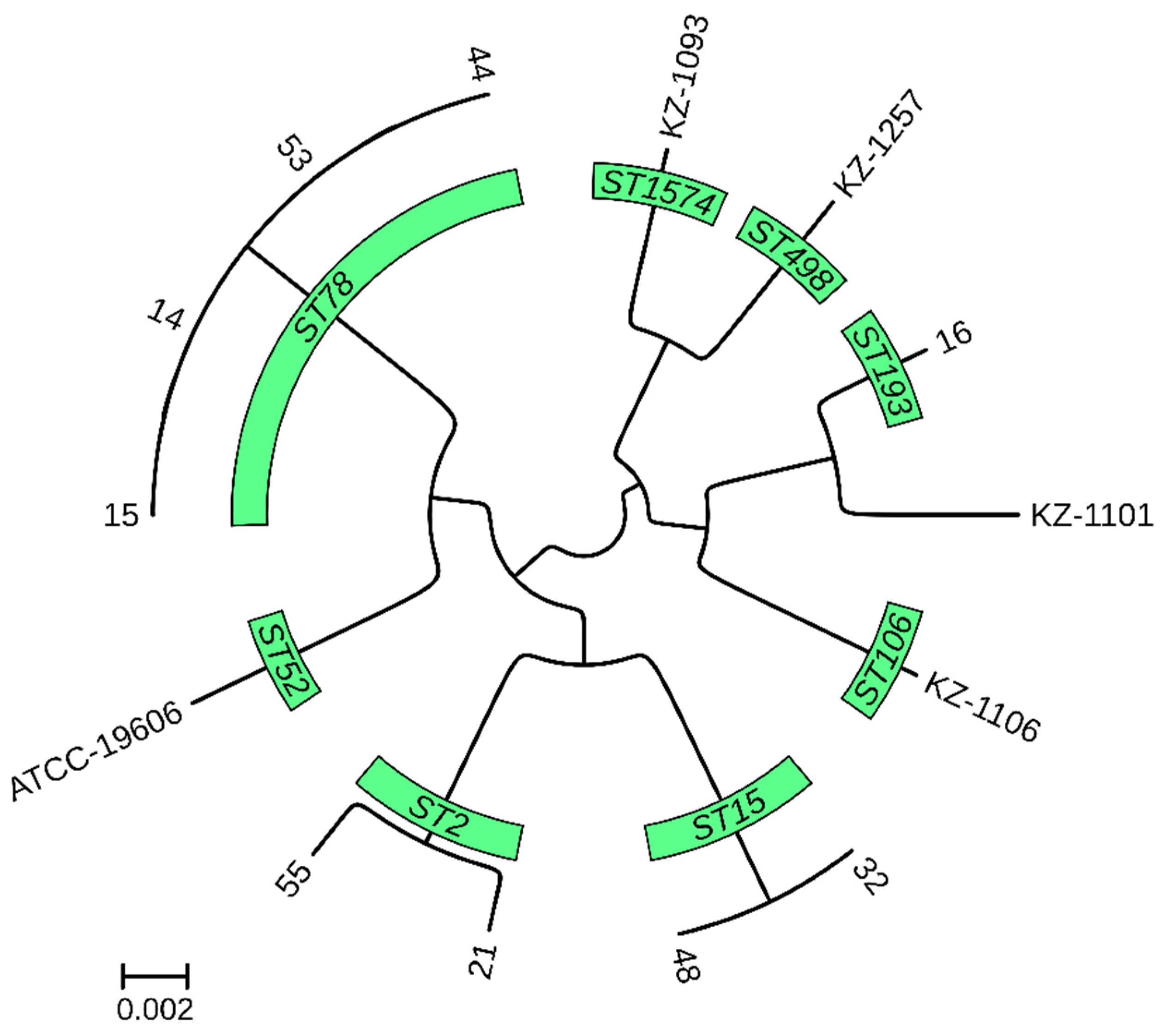 Diagnostics 15 00704 g002