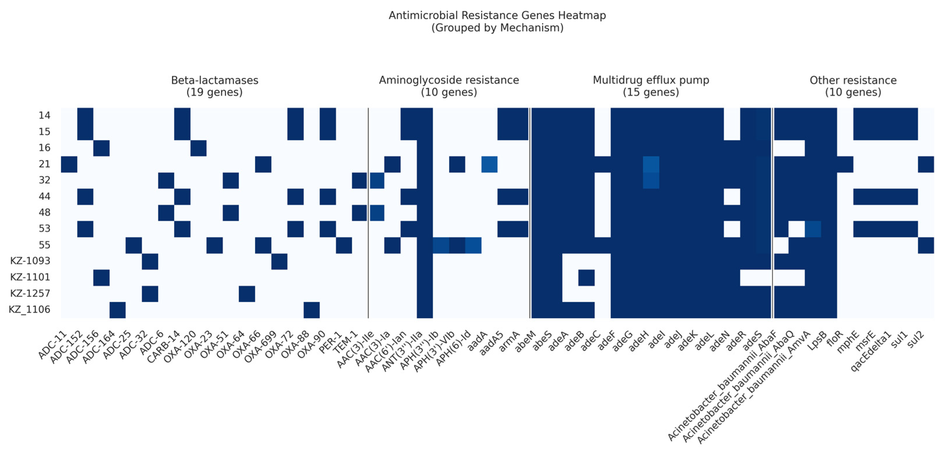 Diagnostics 15 00704 g003