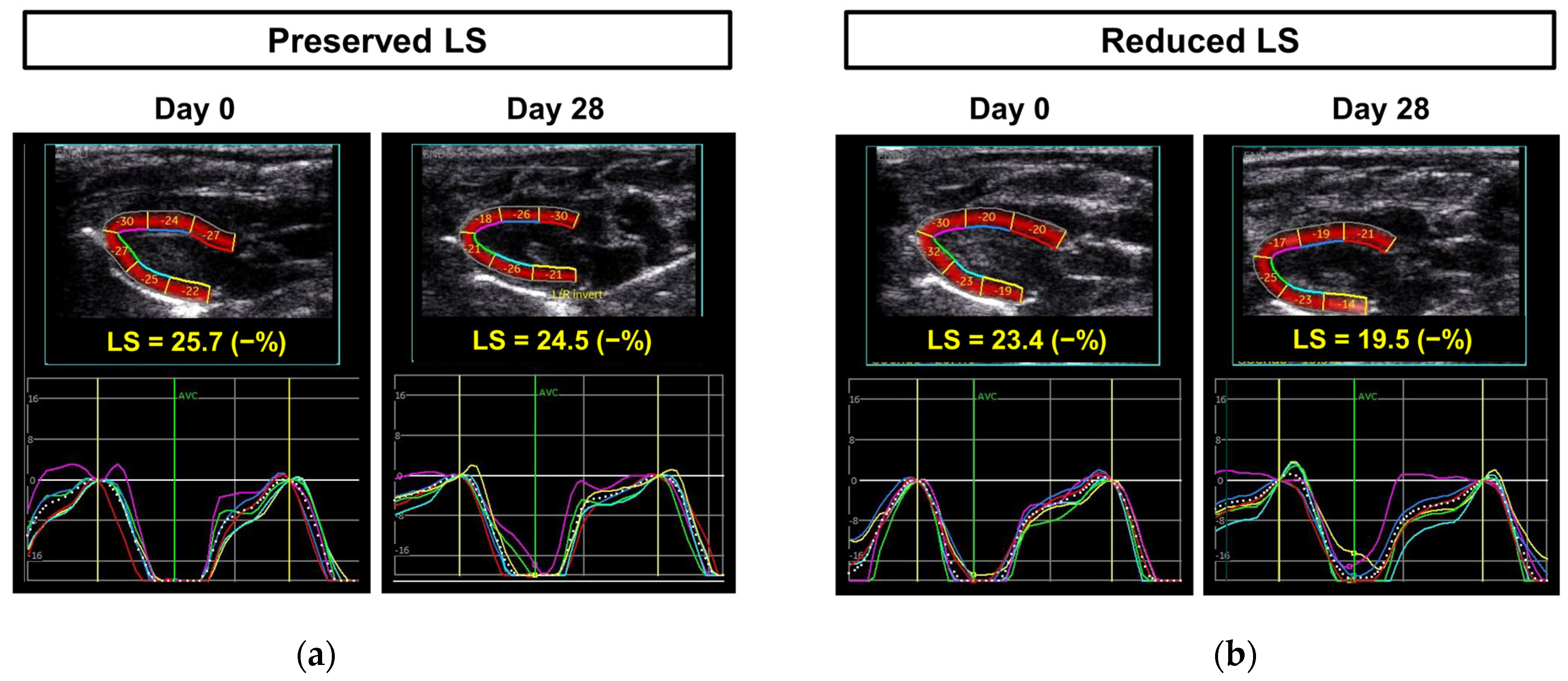 Diagnostics 15 00705 g001