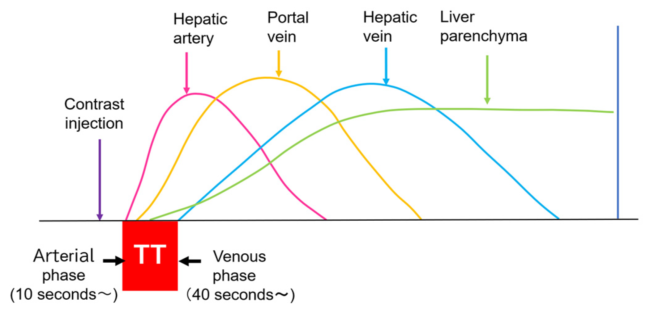 Diagnostics 15 00709 g001 Diagnostics 15 00709 g001