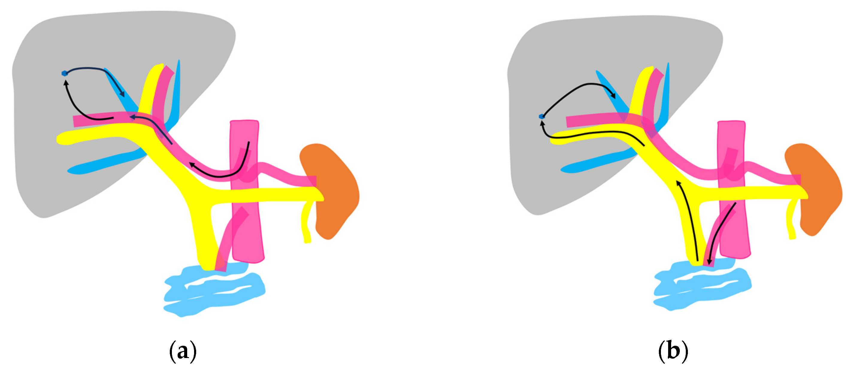 Diagnostics 15 00709 g002 Diagnostics 15 00709 g002