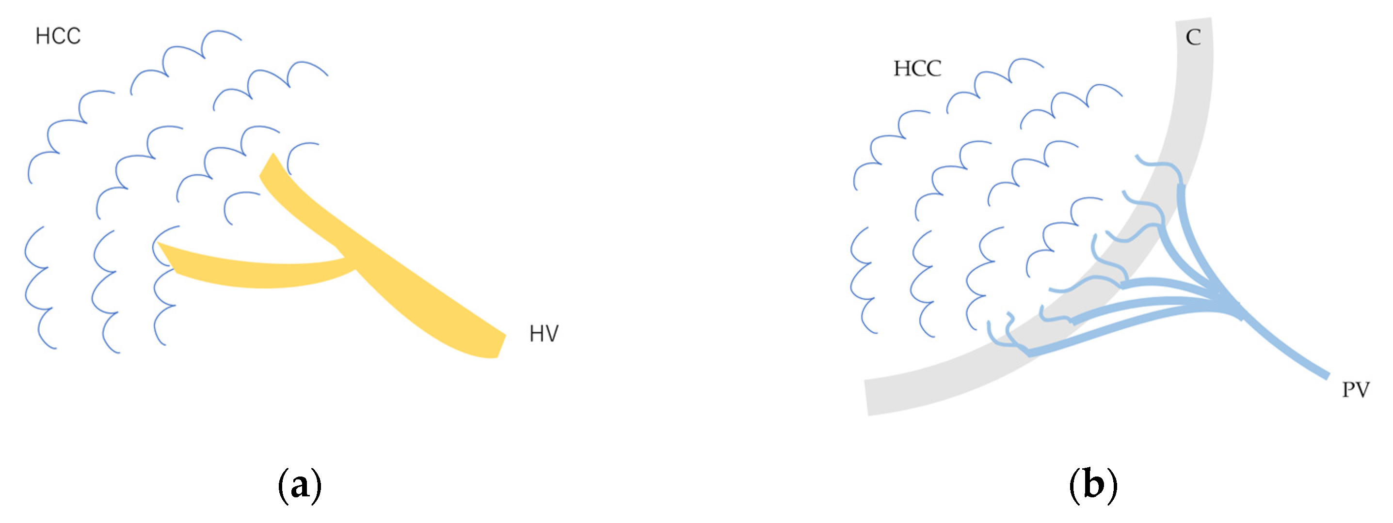 Diagnostics 15 00709 g003 Diagnostics 15 00709 g003